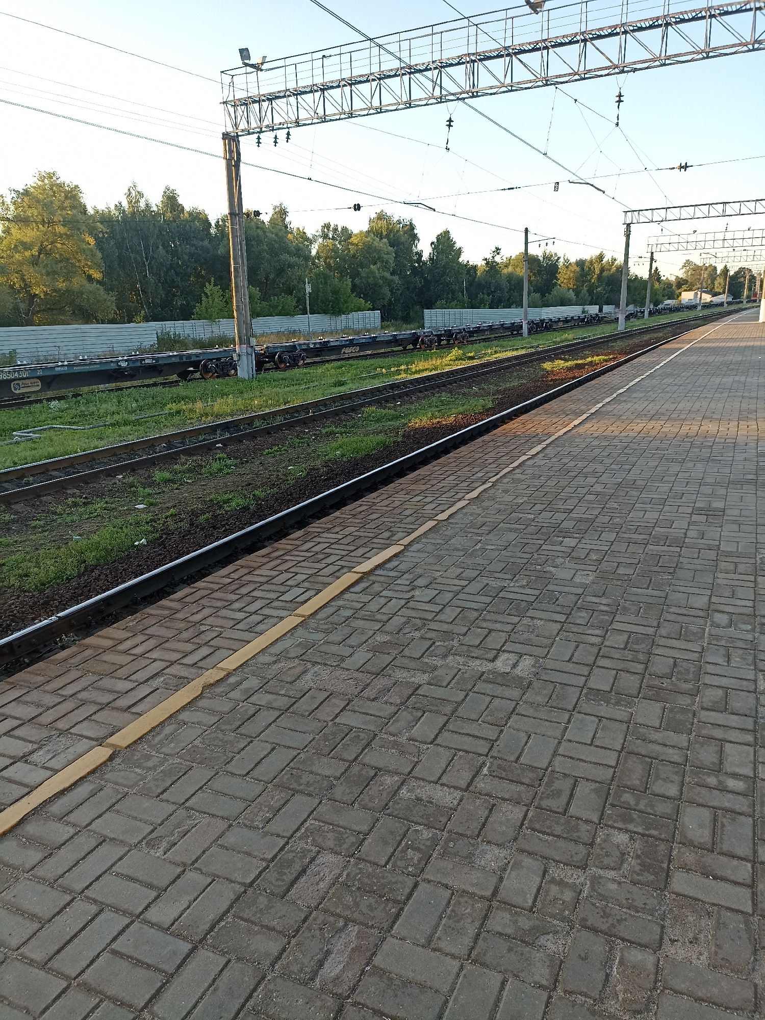 The image shows a view from a train station platform in Chekhov, Russia. The platform is paved with gray interlocking bricks and has a yellow line marking the edge. Adjacent to the platform are train tracks, with grass and dirt between the rails. Further beyond the tracks, there is a long line of freight train cars, and a metal fence. Behind the fence, a dense line of green trees is visible, with a clear blue sky above. Overhead, train catenary wires and supporting structures stretch across the frame. The lighting suggests it is late afternoon or early morning, with the sun casting shadows.