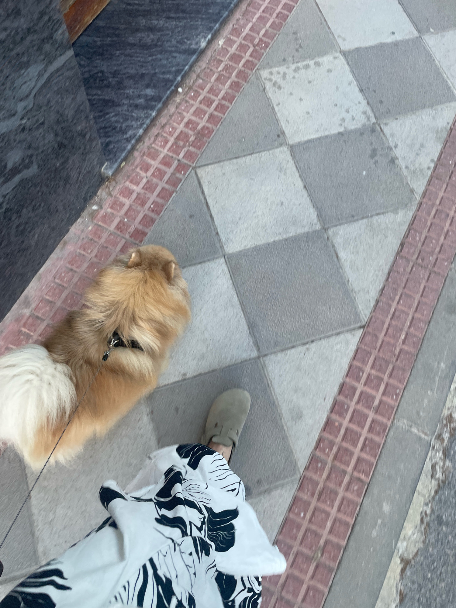 The image shows a high-angle view of a person walking a fluffy, light brown dog on a sidewalk. The sidewalk has a checkered pattern of grey and light grey tiles, bordered by a strip of reddish-brown textured tiles. The person is wearing a white garment with a black floral pattern and a light green shoe. The dog, wearing a black collar, is on a leash. To the left of the sidewalk is a dark grey, textured surface, possibly a wall or building facade. The scene suggests an outdoor urban environment. This scene appears to be in Atarfe, Spain, given the distinctive sidewalk paving often found in the region.