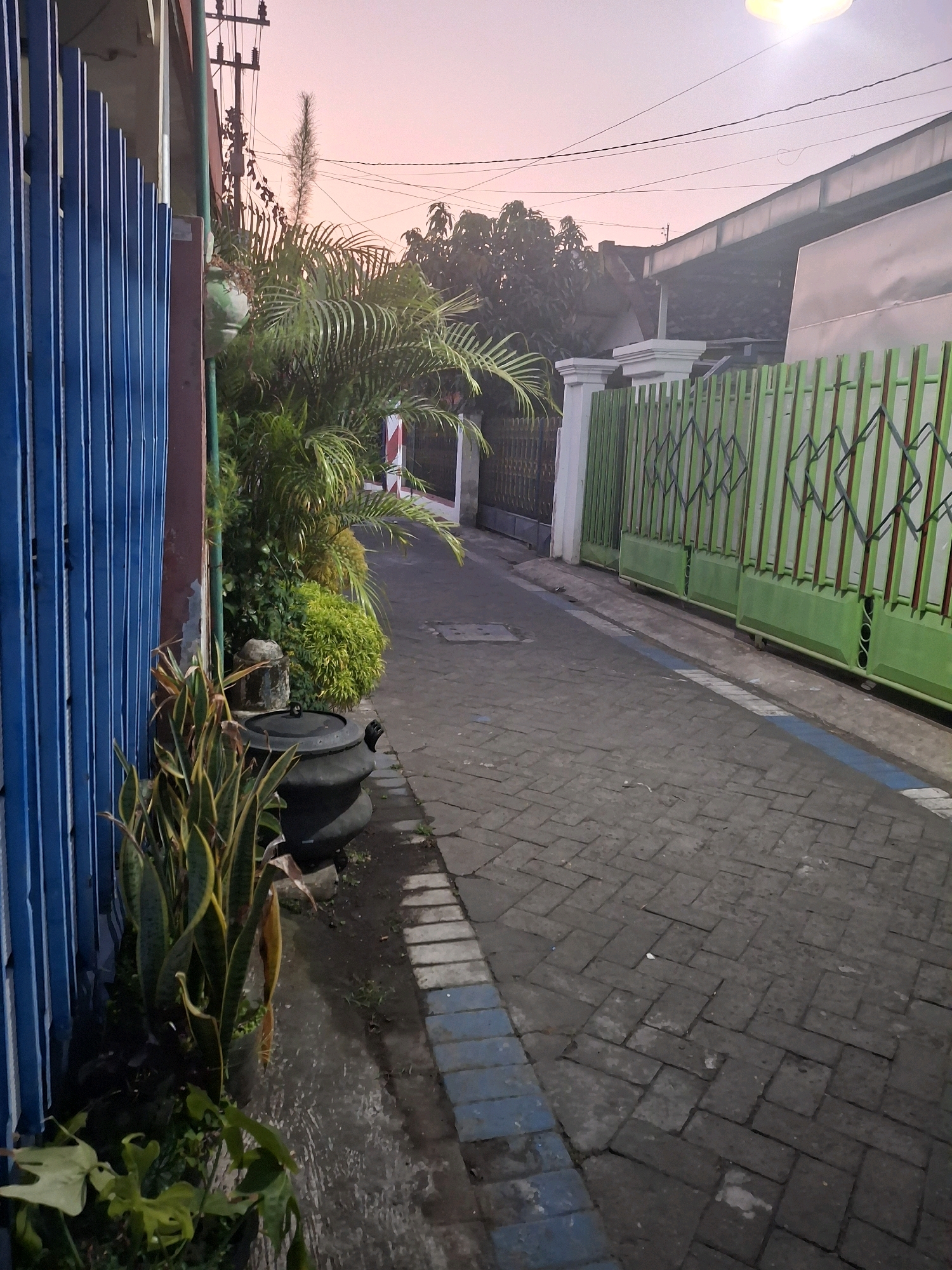 This is a medium-shot, eye-level, outdoor photograph taken at dusk in Lumajang, Indonesia. The scene depicts a paved alleyway lined with fences and vegetation. On the left, a bright blue corrugated metal fence dominates the foreground, its vertical slats catching the dim light. Next to the fence, several potted plants are visible, including a tall snake plant with variegated leaves and a large, dark, pot-bellied planter. Beyond these, a cluster of lush green bushes and palm fronds are illuminated.
The alleyway itself is paved with interlocking dark gray bricks, with a blue and white stripe marking the edge on the left. On the right side of the alley, a vibrant green metal gate with diamond-shaped accents stretches into the distance. Behind the gate, a white pillar and a portion of a building with a corrugated metal roof are visible. The sky above is a soft gradient of pink and pale yellow, indicative of sunset. Power lines crisscross the sky, and a bright light source, likely a streetlamp, is visible in the upper right corner. The overall impression is one of a quiet residential or commercial alleyway at the end of the day.