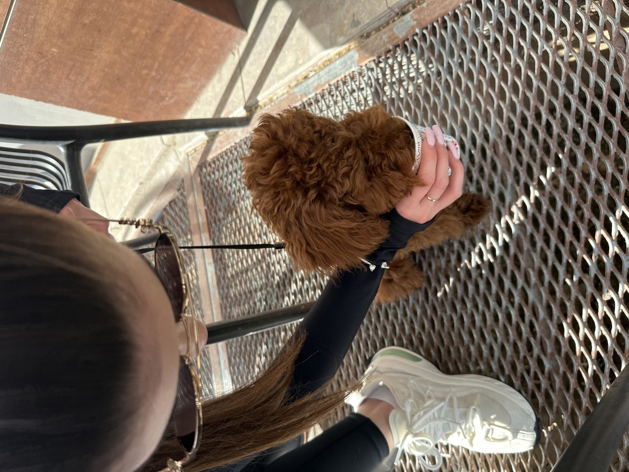 The image presents a high-angle, top-down view of a person holding a small, fluffy brown dog in a paper cup. The person, likely female, is seen from behind, with long brown hair partially obscuring their face. They are wearing dark sunglasses, a black long-sleeved top, black leggings, and white sneakers. A silver ring is visible on their finger, and their fingernails are painted a light pink.
The small dog, with its curly brown fur, is nestled within a paper cup that has a partially visible logo or text, appearing to say "COFF...". The setting appears to be an outdoor elevated area, such as a balcony, terrace, or walkway, in Plovdiv, Bulgaria. This is indicated by the grey metal grate flooring they are standing on, a black railing to the left, and a warm-toned tiled or concrete surface visible below the grate.
The scene is brightly lit by natural sunlight, suggesting a clear, sunny daytime. Strong highlights and shadows are cast across the metal grate. The image captures a gentle moment of a person holding their pet.