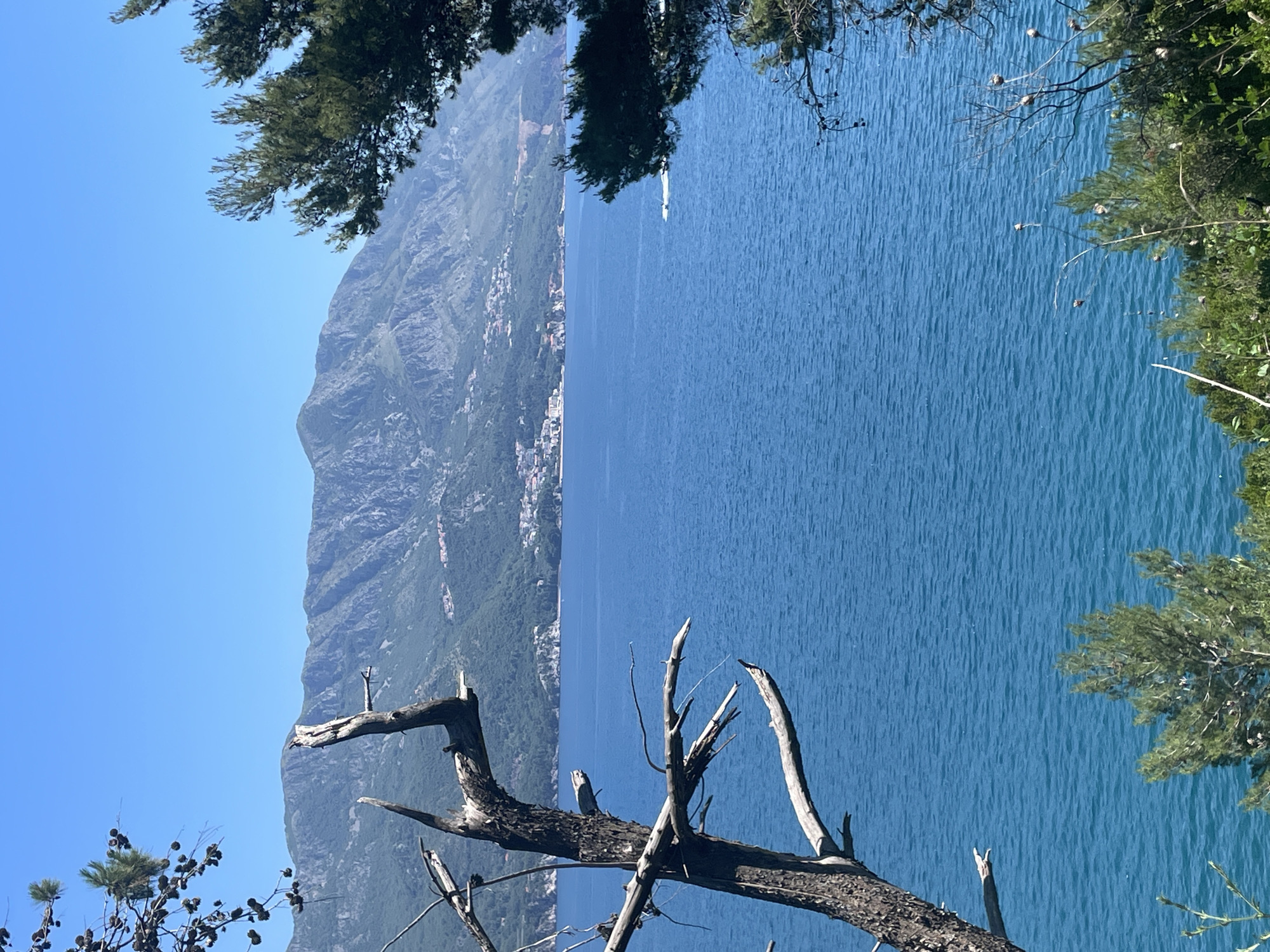 The scene depicts a landscape in Boreti, Montenegro. A mountain range runs along the left side of the frame, adjacent to a body of water. Lush greenery covers portions of the mountain, with a coastal town visible along its base. The water occupies a substantial portion of the image, reflecting the clear blue sky. In the foreground, dead tree branches add a stark contrast to the vibrant blues and greens. Some evergreen trees and foliage frame the image on the right and upper edges.