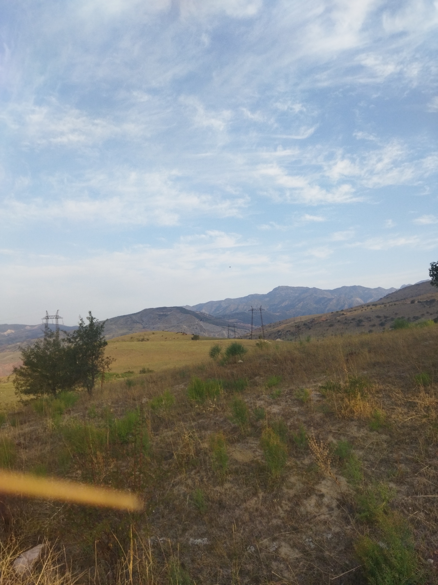 The image depicts a rural, mountainous landscape under a sky with scattered white clouds. In the foreground, dry, tall grass and some green shrubs cover the terrain. A bright yellow horizontal blur is visible in the lower left portion of the image, possibly from light reflecting on a lens or an object. In the middle ground, a patch of green trees stands on a golden, grassy hill. Beyond this, power lines and transmission towers are situated on a lower, barren hillside. The background is dominated by rolling, dark-hued mountains, their slopes textured with sparse vegetation and rugged terrain. The overall scene is natural and undeveloped, characteristic of the outskirts of Maylısuu, Kyrgyzstan, a region known for its mountainous terrain and natural resources.