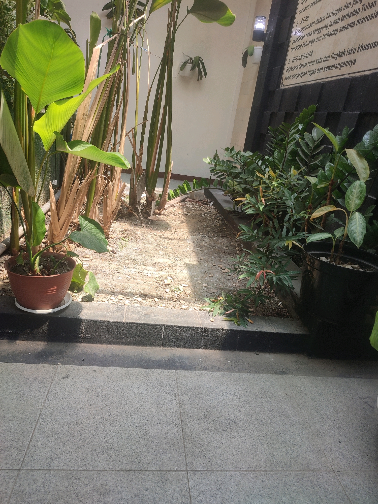 The image depicts an outdoor scene, likely a garden area within a building's premises, possibly in the city of Nganjuk, Indonesia. In the foreground, a paved walkway made of grey, speckled tiles is visible, with a dark, raised edge bordering the garden bed. The garden bed itself features a mix of plants and dry soil with small stones.
To the left, a large potted plant with broad, green leaves is prominent, its terracotta pot sitting on a white saucer. Behind this plant are several tall, dried stalks of what appear to be bamboo or a similar reed-like plant. In the background, to the right, a row of smaller, leafy green plants are planted along a dark, raised planter box. One of these plants is in a black plastic pot. Behind the plants, a textured dark wall is visible, with a white section above it. Mounted on the white wall is a small, modern-looking outdoor light fixture. Text in Indonesian is visible on the dark wall, forming part of a sign. The lighting suggests it is daytime, with sunlight casting shadows across the scene. There are no people visible in the image.