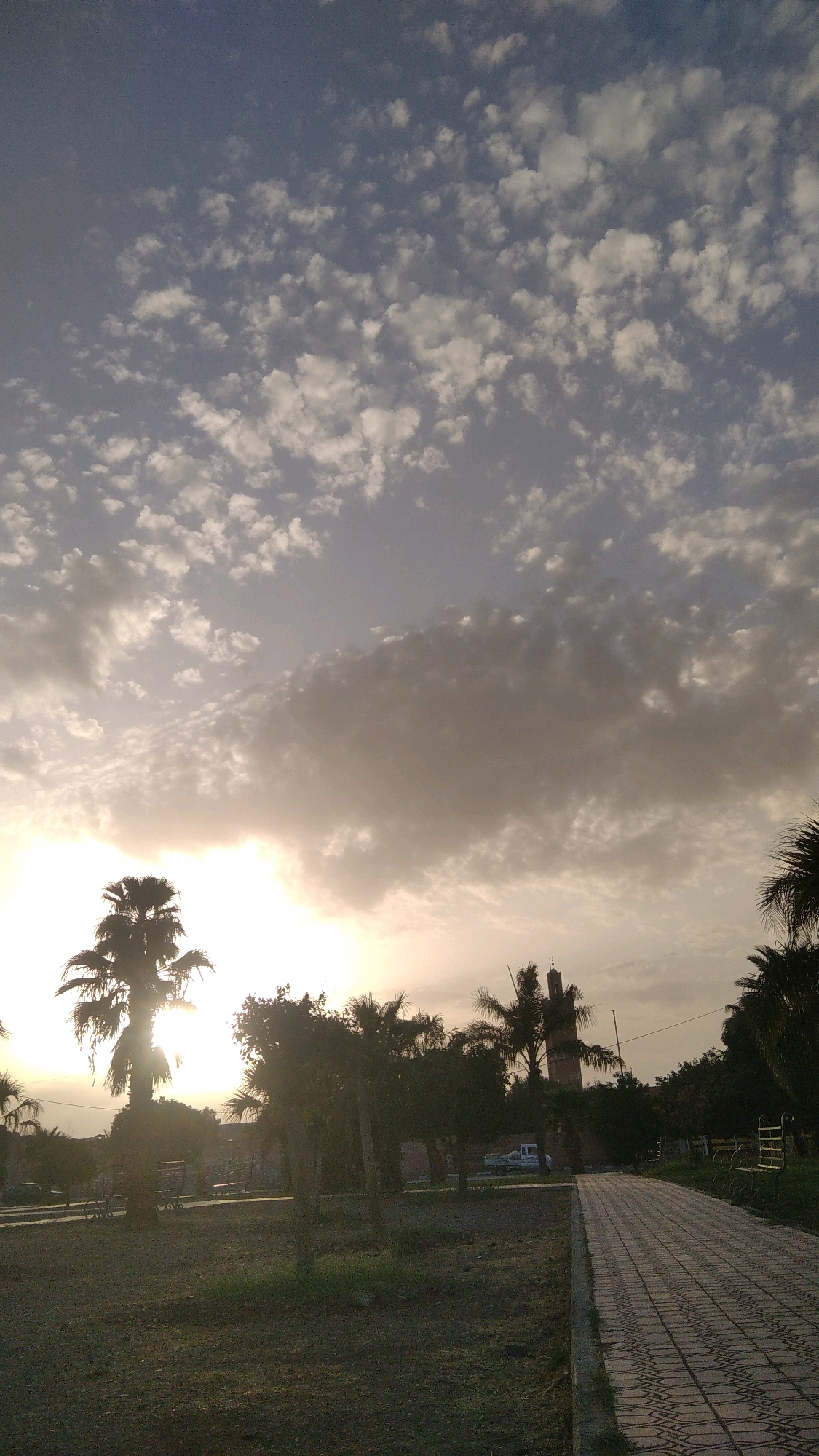 The image depicts a street scene in Marrakesh, Morocco, during what appears to be either sunrise or sunset, indicated by the low angle of the sun and the warm lighting filtering through scattered clouds. The sky is a mix of blue and grey, with numerous small, puffy white clouds interspersed with larger, darker cloud formations.
In the foreground, a path made of patterned paving stones leads into the distance, bordered by a grassy area with scattered dirt and small vegetation. To the left of the path, several palm trees and other foliage create a silhouetted park-like setting. One prominent palm tree stands tall, with the sun's rays shining directly behind it, causing a lens flare effect. In the background, a brick tower, possibly a minaret, is visible amidst the trees. A white pickup truck is parked on the right side of the scene, near a bench. The overall impression is of a tranquil urban park or public space.
