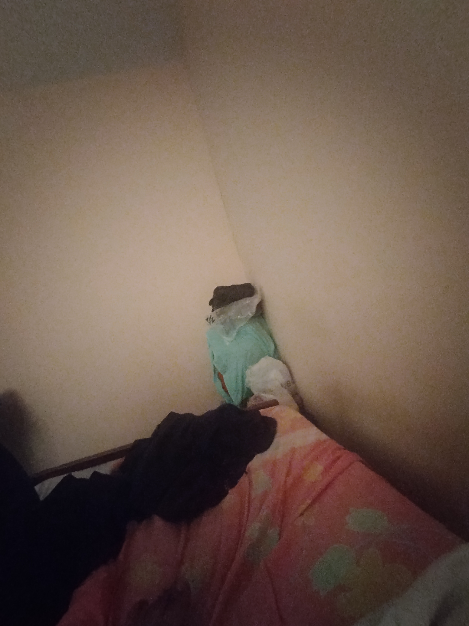 A cluttered corner of a room features a pile of clothing in the foreground, with a light-colored duvet patterned with green and pink floral motifs. In the background, a teal-colored garment is partially wrapped in plastic, with a dark object peeking out from its top. The walls of the room are a neutral beige color, and the lighting is dim. There is no indication of the city of Lassan, Pakistan, in this image.