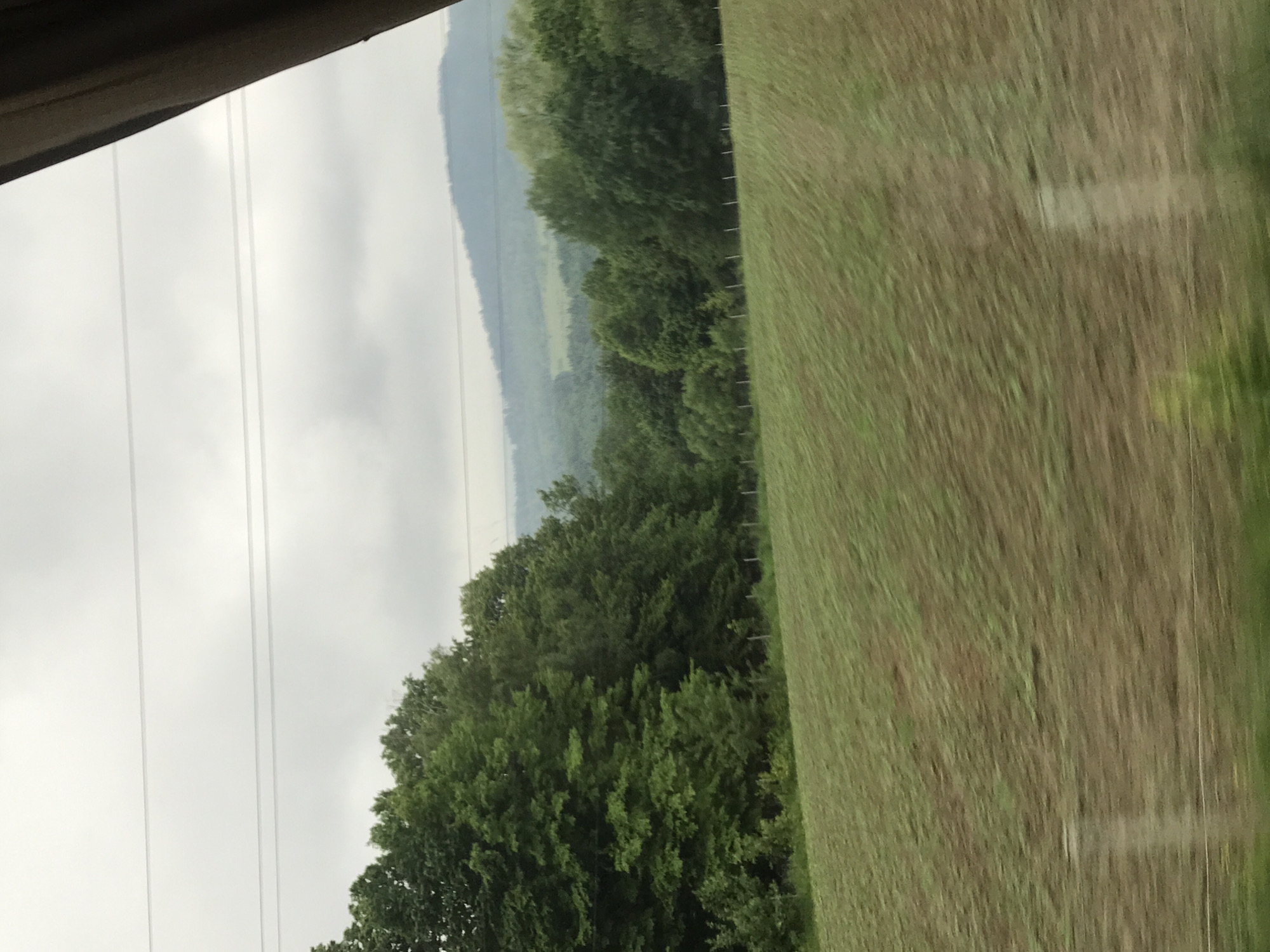 The image depicts an outdoor rural landscape under an overcast sky, observed through what appears to be a moving vehicle window. In the upper portion, a pale grey sky is bisected horizontally by multiple faint power lines. Below the power lines, distant, hazy blue-green hills or mountains define the horizon. A dense line of varied green deciduous trees forms the middle ground, extending across the frame. At the base of the trees, a fence with numerous slender white posts separates the tree line from the foreground. The foreground is occupied by a large, sloping agricultural field of cut grass or hay, exhibiting distinct linear patterns consistent with recent mowing. The field's colors vary from green to light brown, with significant motion blur suggesting the image was captured from a moving perspective. On the far right, a dark, angled vertical obstruction, likely a window pillar or door frame, partially obscures the scene. The scene is located in Krasnoilsk, Ukraine.