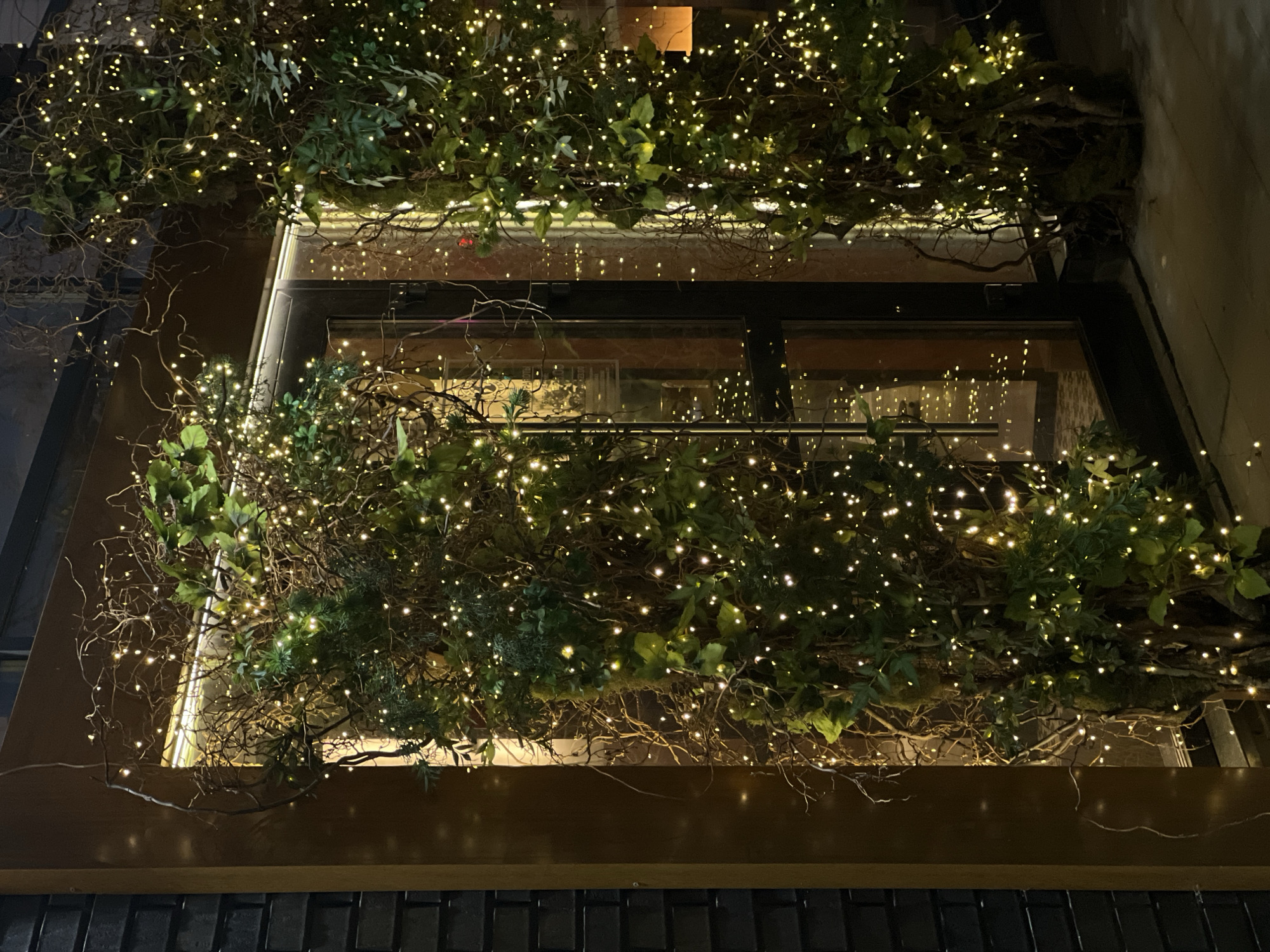 The image captures an outdoor scene at night, likely a storefront or entrance, decorated with an abundance of warm white fairy lights woven through dense green foliage and bare branches. The lighting creates a festive and somewhat magical atmosphere. The foliage appears to be artificial, possibly a permanent fixture or seasonal decoration.
To the left, a dark brick wall is visible, providing a contrasting texture to the soft glow of the lights and the organic forms of the greenery. Adjacent to the wall is a wooden frame or pillar, which leads to a glass door or window. Through the glass, interior lighting can be seen, reflecting the external fairy lights and suggesting the presence of a commercial space, possibly a restaurant or shop.
On the right side of the image, a similar arrangement of lights and foliage extends, framing another part of the entrance or facade. The ground in front of the entrance is dark, appearing to be pavement or a similar urban surface, with a faint dusting of what might be snow or frost.
The scene is devoid of any people, animals, or vehicles. The focus is entirely on the architectural elements and the elaborate light and plant decorations.
Regarding the location in the city of Barnaul, Russia, there is no visual information within the image that can definitively pinpoint this specific city or country. The style of the architecture and decorations is not uniquely identifiable with Barnaul or Russia.