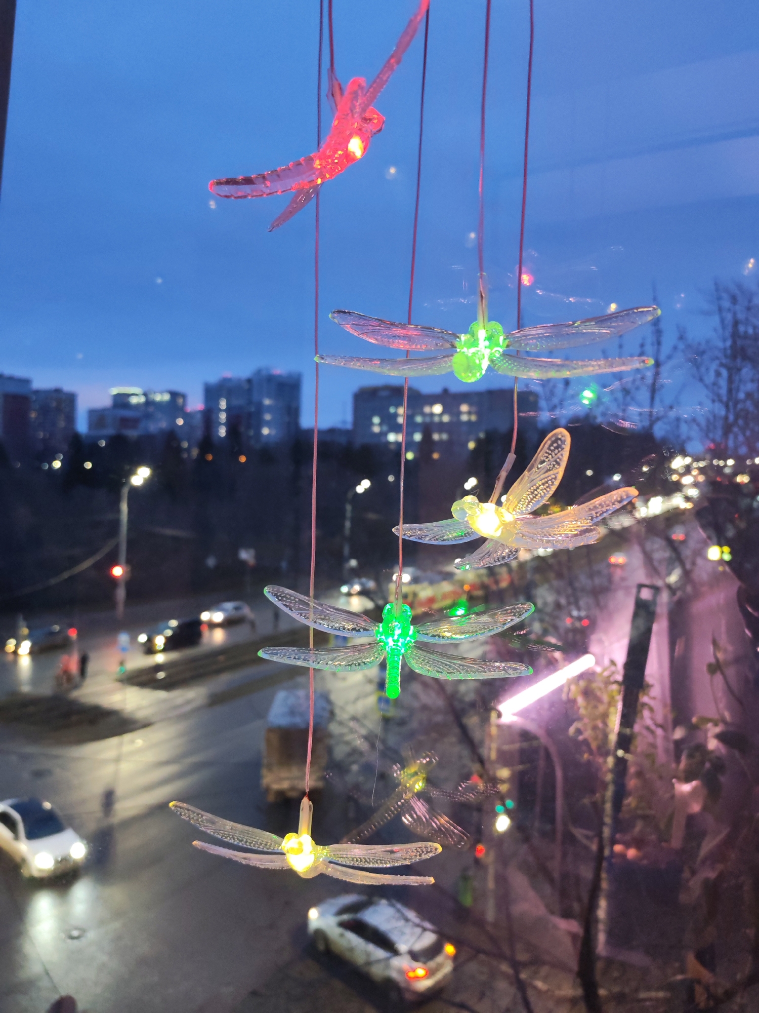 The image shows a string of five glowing dragonfly ornaments hanging in front of a window. The dragonflies are illuminated in red, green, and yellow, and are suspended by thin red strings. Through the window, a nighttime cityscape is visible, including buildings, streetlights, and moving cars. Based on the visible details like the buildings and streetscape, it is likely that the location is Izhevsk, Russia.