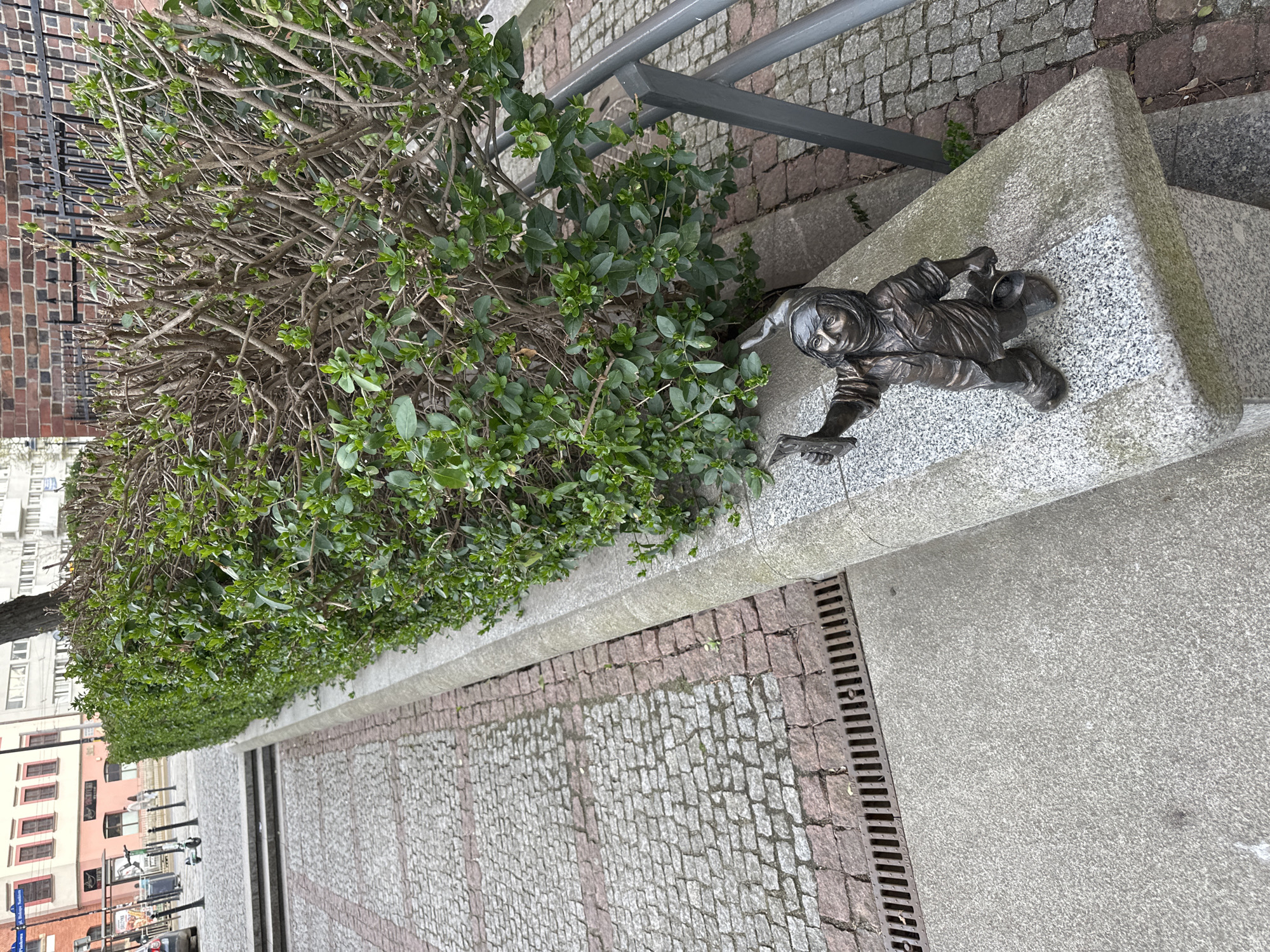 A bronze statue of a dwarf, one of Wrocław's famous dwarves, lies prone on a concrete ledge near a bush. The dwarf appears to be in mid-climb, his hands and feet positioned as if he's scaling the ledge. A gray metal railing is visible above the ledge, and the foreground shows a cobblestone pavement with a drainage grate. In the background, there are buildings, including a brick one. The statue is located in Wrocław, Poland.