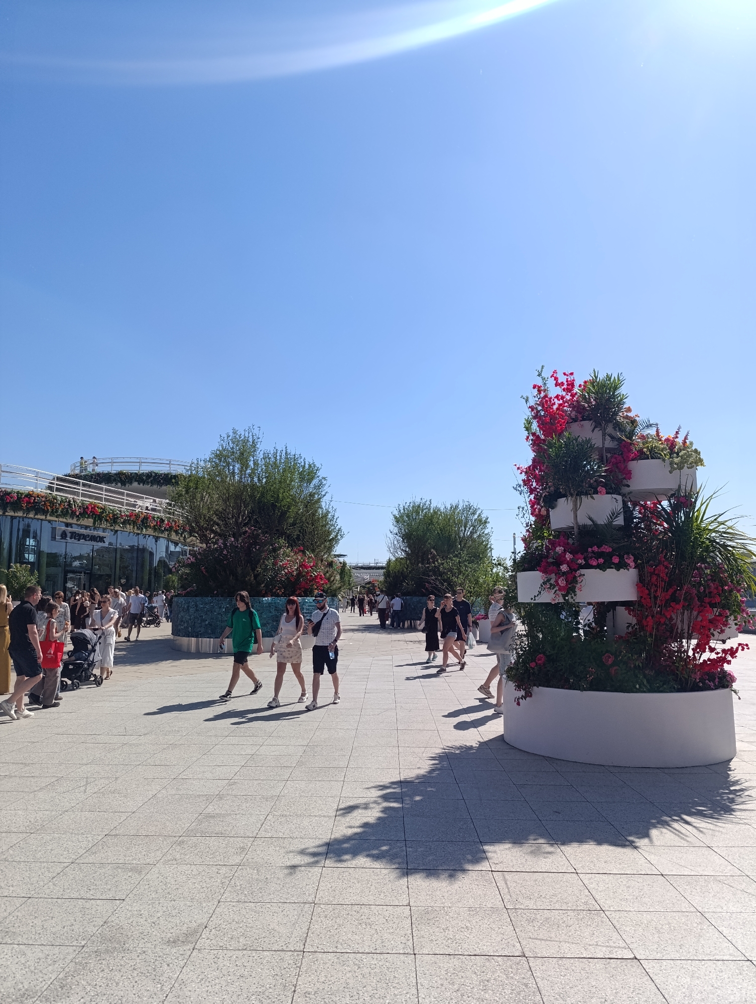 This image depicts a sunny outdoor pedestrian area with a clear blue sky. A prominent lens flare is visible in the upper portion of the sky, indicating direct sunlight. The ground is paved with light grey, square-tiled flagstones, exhibiting distinct shadows of people and vegetation, suggesting the sun is positioned to the upper right of the frame.
In the right foreground and midground, a multi-tiered white planter structure is filled with various plants, predominantly vibrant red and pink flowers, alongside green foliage including palms and other leafy plants. Four individuals are walking from the midground towards the viewer on the right side of the pavement. From left to right, they are: a male in a green t-shirt and dark shorts; a female in a light-colored top and patterned skirt; a male in a patterned short-sleeved shirt, dark shorts, and a dark cap; and a female in a light top and dark shorts. All are wearing sneakers.
In the left midground and background, a modern building with a curved glass facade is visible. The building features an upper level with a white railing adorned with numerous planters containing red, orange, and pink flowers. A sign with Cyrillic text, clearly reading "Теремок" (Teremok), is visible on the building's glass facade. In front of the building and to the left of the flower structure, there are several large, dense green bushes or small trees. Numerous other pedestrians are visible in the midground and background, walking in various directions, with some pushing baby strollers. The attire of the people, consisting of shorts, t-shirts, and light dresses, suggests warm weather conditions. The presence of the "Теремок" restaurant chain sign indicates the location is in Russia, specifically within an urban environment.