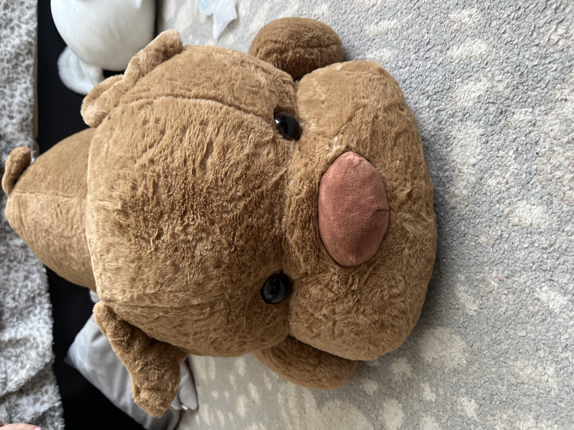 The image shows a close-up, high-angle shot of a brown plush toy, likely a bear, lying on a grey and white patterned carpet. The toy is positioned horizontally, with its head and upper body dominating the frame. Its fur appears soft and slightly matted. Visible features include two glossy black eyes, a pink oval nose, and small, rounded ears. Part of the toy's arm or paw is visible on the left side of the frame. The background is out of focus, showing hints of other soft objects, including a white plush item and a dark surface, possibly furniture. The lighting suggests an indoor setting, likely during the daytime. No text is visible in the image. The scene is static, with no apparent activity taking place, suggesting the toy is at rest or has been placed there. The overall impression is one of a close-up view of a children's toy in a domestic environment. The location context of Navahrudak, Belarus, is not visually evident from the image itself.