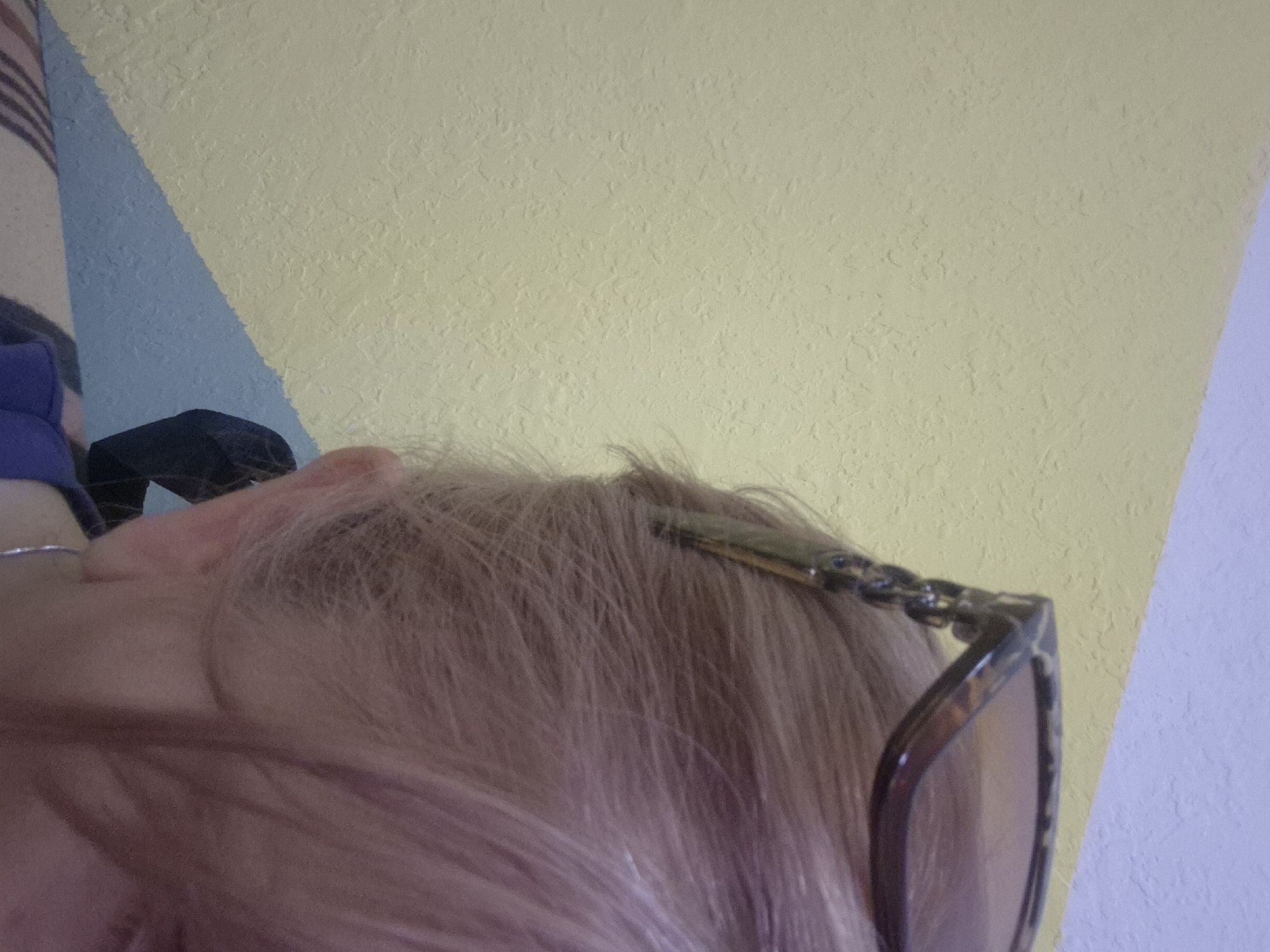 The image shows a close-up of a person's head from behind, wearing sunglasses with a tortoise shell pattern. The person has light-colored hair. The background consists of a textured yellow wall and a light blue painted surface below it, with a distinct diagonal line separating the two colors. The scene is not identifiable as being in Yerevan, Armenia.