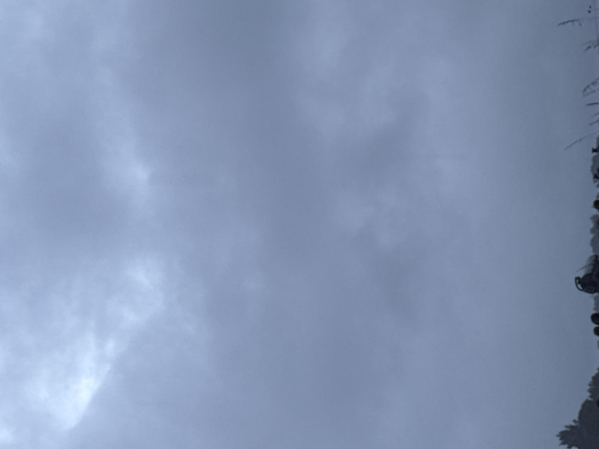 The image shows a cloudy, overcast sky above a low-lying silhouette of trees and what appear to be people or objects at the very bottom of the frame. There are no discernible buildings or specific landmarks in the image to suggest a location within the city of Galinė, Lithuania. The lighting is dim, indicating a cloudy day, possibly before or after rain. The bottom edge of the image is obstructed by what appears to be vegetation or a crowd.