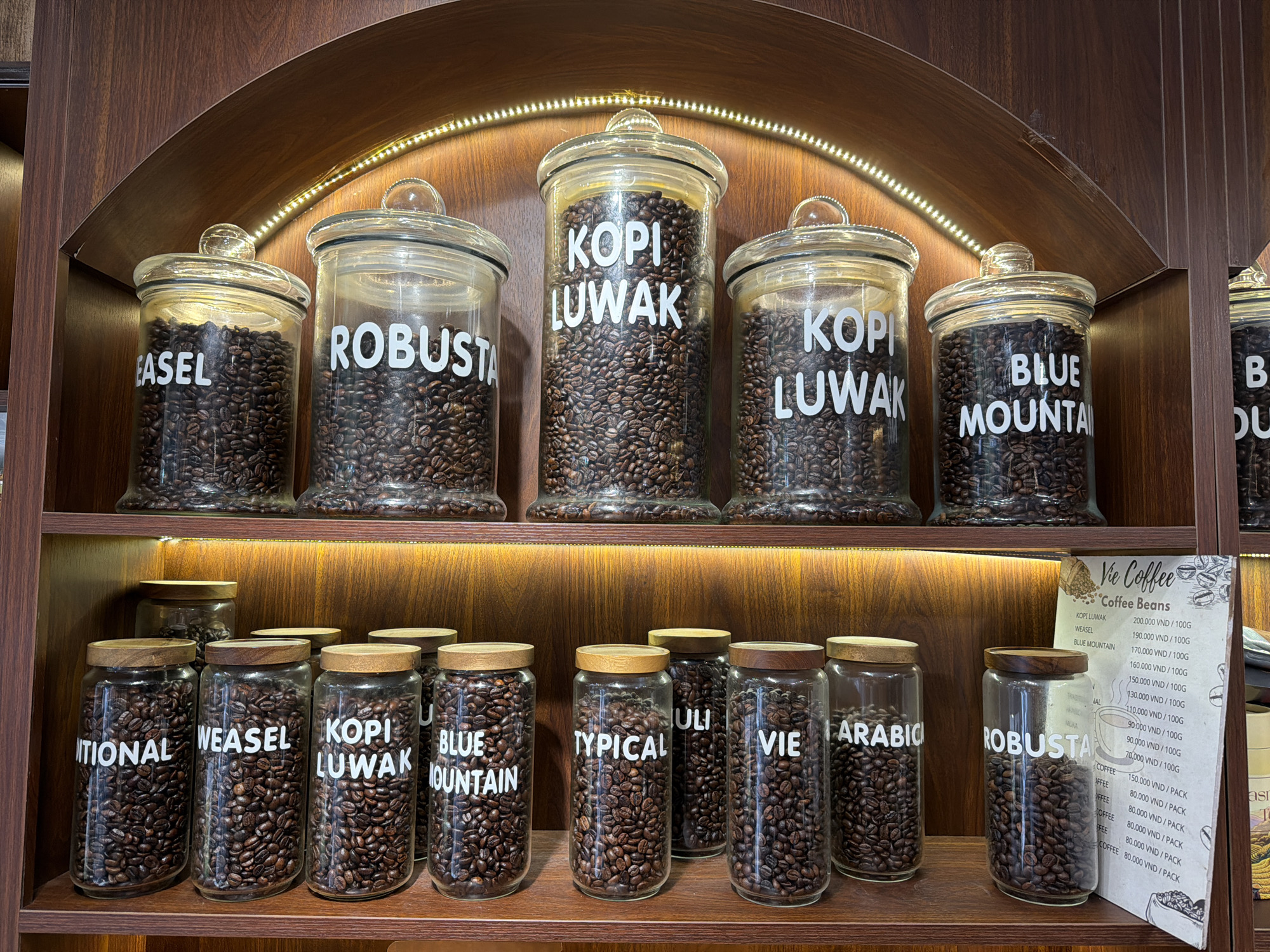 A photograph taken in Hà Nội, Vietnam, depicts a shelf display of coffee beans in glass jars. The top shelf contains six large jars with glass lids, each labeled with white lettering identifying the type of coffee: "Easel," "Robusta," "Kopi Luwak" (appearing twice), "Blue Mountain," and "B Du." A strip of LED lights is visible behind the jars, illuminating the wooden backdrop. The bottom shelf features ten smaller jars with wooden lids, also labeled with coffee types: "Itional," "Weasel," "Kopi Luwak," "Blue Mountain," "Typical," "Uli," "Vie," "Arabic," and "Robusta." To the right of the last jar on the bottom shelf is a sign displaying the menu and prices for "Vie Coffee" in Vietnamese Dong (VND) per 100 grams for different types of coffee beans. The shelves and backdrop appear to be made of dark-stained wood. The coffee beans are dark brown in color.
