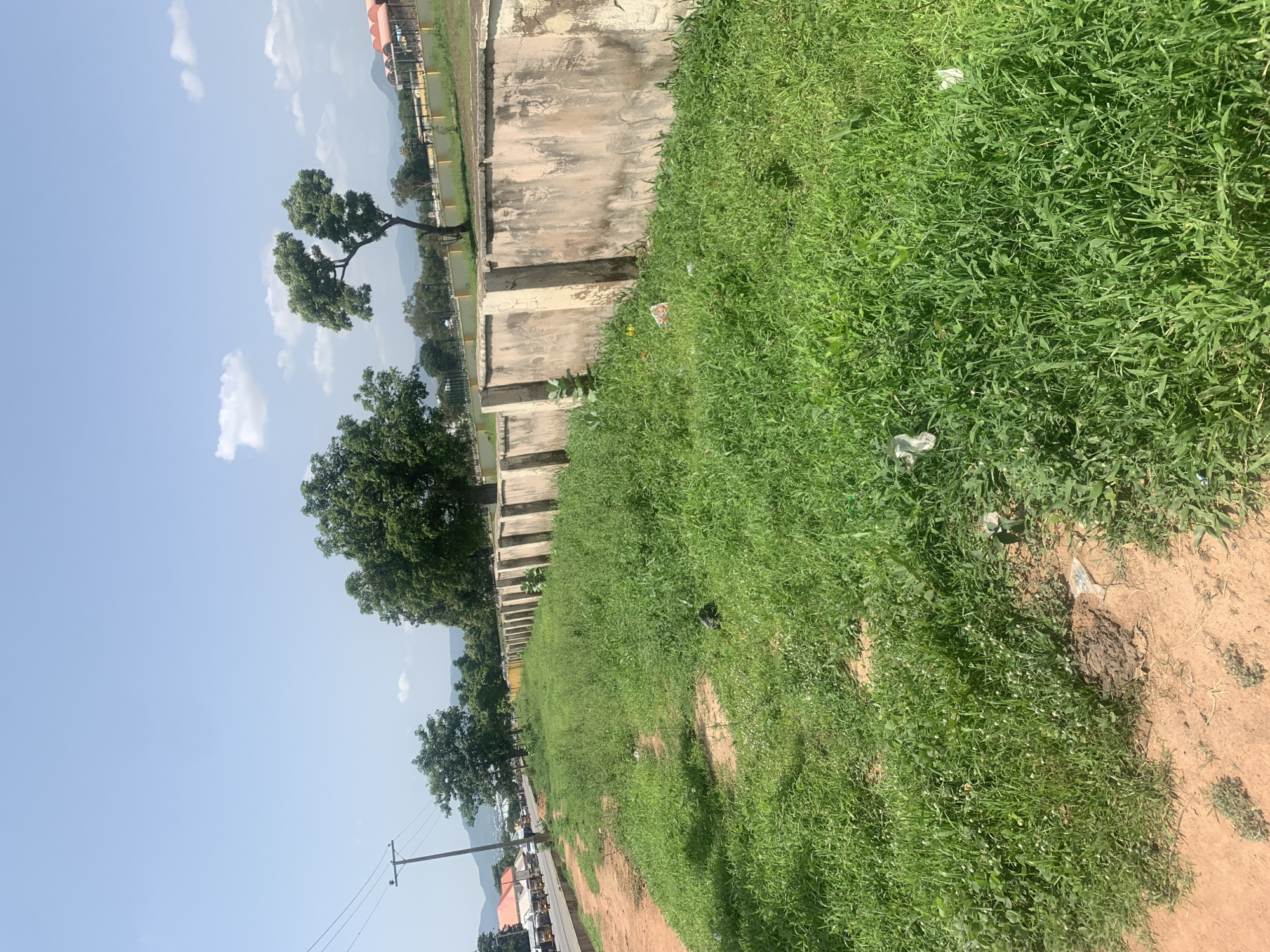 The image depicts an outdoor scene in Jalingo, Nigeria, under a clear blue sky with scattered white clouds, suggesting fair weather and likely daytime. The perspective is tilted, as if the camera is held sideways.
The foreground is dominated by a large expanse of vibrant green grass, interspersed with patches of dry, sandy earth. Some pieces of litter are visible scattered in the grass and on the dirt path. A notable detail in the grass is a pile of what appears to be animal dung.
In the middle ground, a textured concrete wall runs horizontally across the frame, showing signs of age and weathering. Adjacent to the wall, on its left, are a series of concrete pillars or supports. Beyond this wall and structures, more trees are visible, some with lush green foliage. A solitary, distinctive tree with an unusual, gnarled trunk and branches stands prominently against the sky. Further in the distance, hints of buildings and mountainous terrain can be seen.
To the left of the frame, a power line pole with wires is visible, and further down the road, several cars and buildings suggest a populated area or roadside. The overall scene conveys a sense of a semi-urban or rural environment in Nigeria. No people are directly visible, and no text is present.