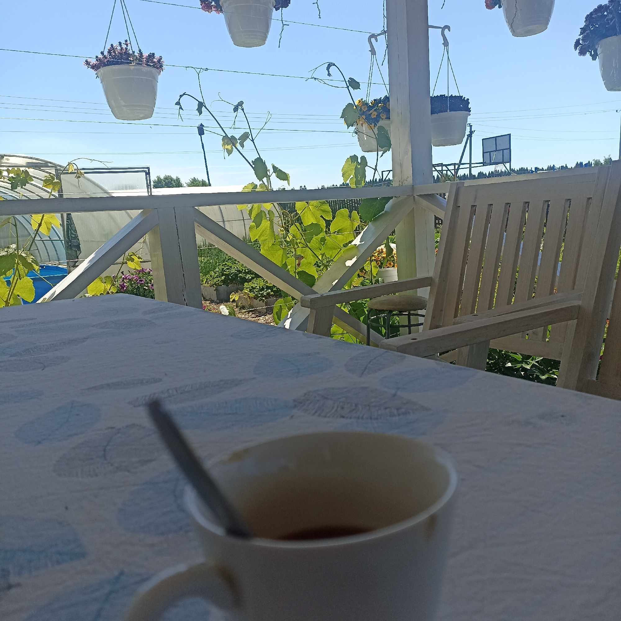 A partially blurred white mug containing a dark liquid and a spoon rests on a white tablecloth with a blue circular pattern. The mug is positioned on a table in the foreground, to the right of the frame. Beyond the table, a wooden porch railing separates the viewer from a garden. In the garden, rows of plants are visible, along with a blue barrel and the curved roof of a greenhouse. Hanging baskets with flowers are suspended from wires above the porch, against a clear blue sky. A light-colored wooden chair is also visible on the porch, to the right of the mug. In the background, trees form a distant treeline, and a dark, rectangular structure on a pole stands in the middle ground. The overall scene depicts a tranquil outdoor setting, likely a porch overlooking a garden on a sunny day in Shakhunya, Russia.