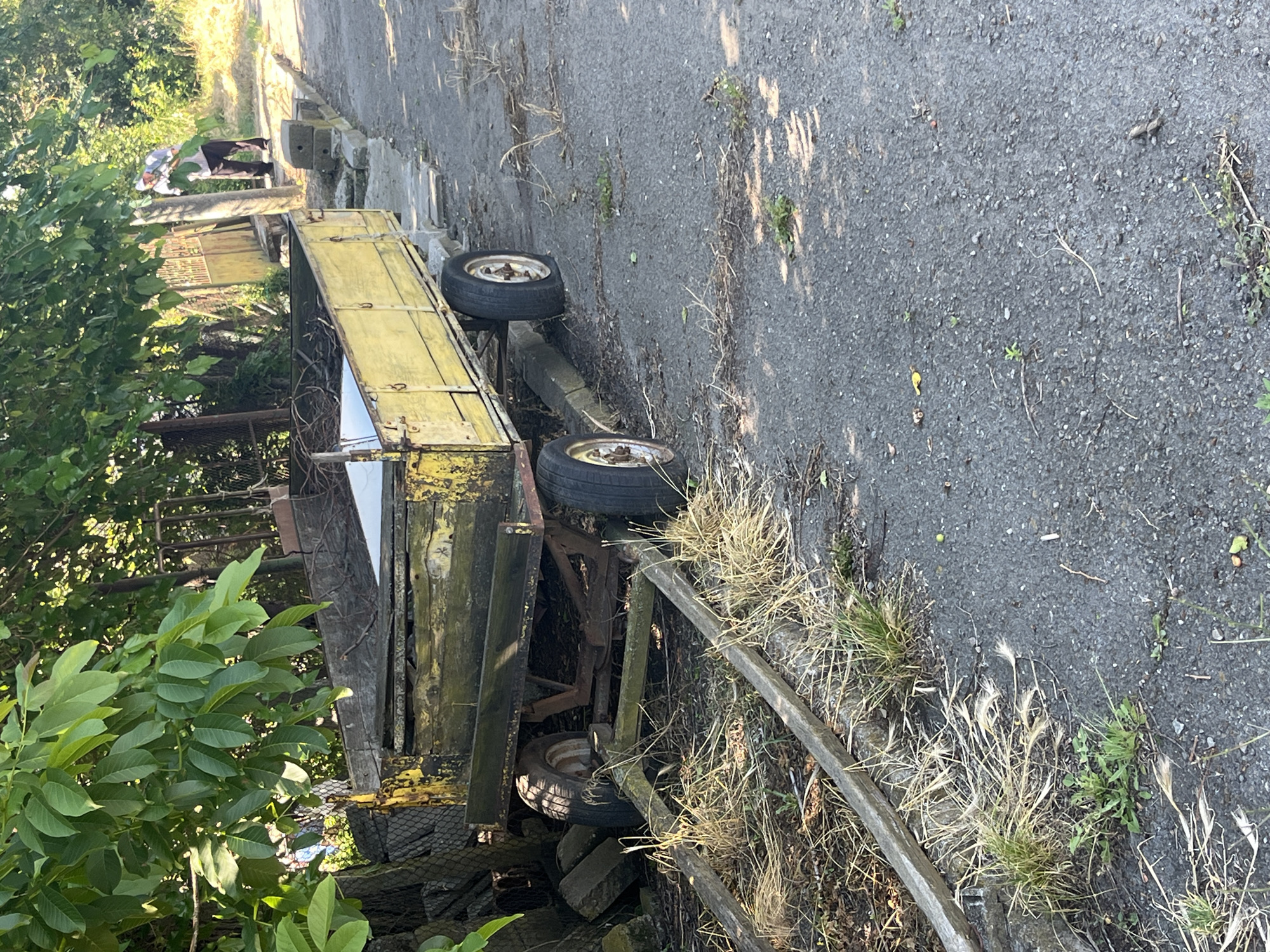 In Ravnets, Bulgaria, an old, yellow, wooden trailer sits on an asphalt road beside a stone curb. The trailer is filled with dry branches and sticks. A person in a white shirt and dark pants is visible in the background, standing near a metal fence and a concrete post, seemingly interacting with foliage. Trees and overgrown vegetation surround the scene, with dry grass and weeds growing along the edge of the road and around the trailer. A wire fence is also visible on the left side of the image.