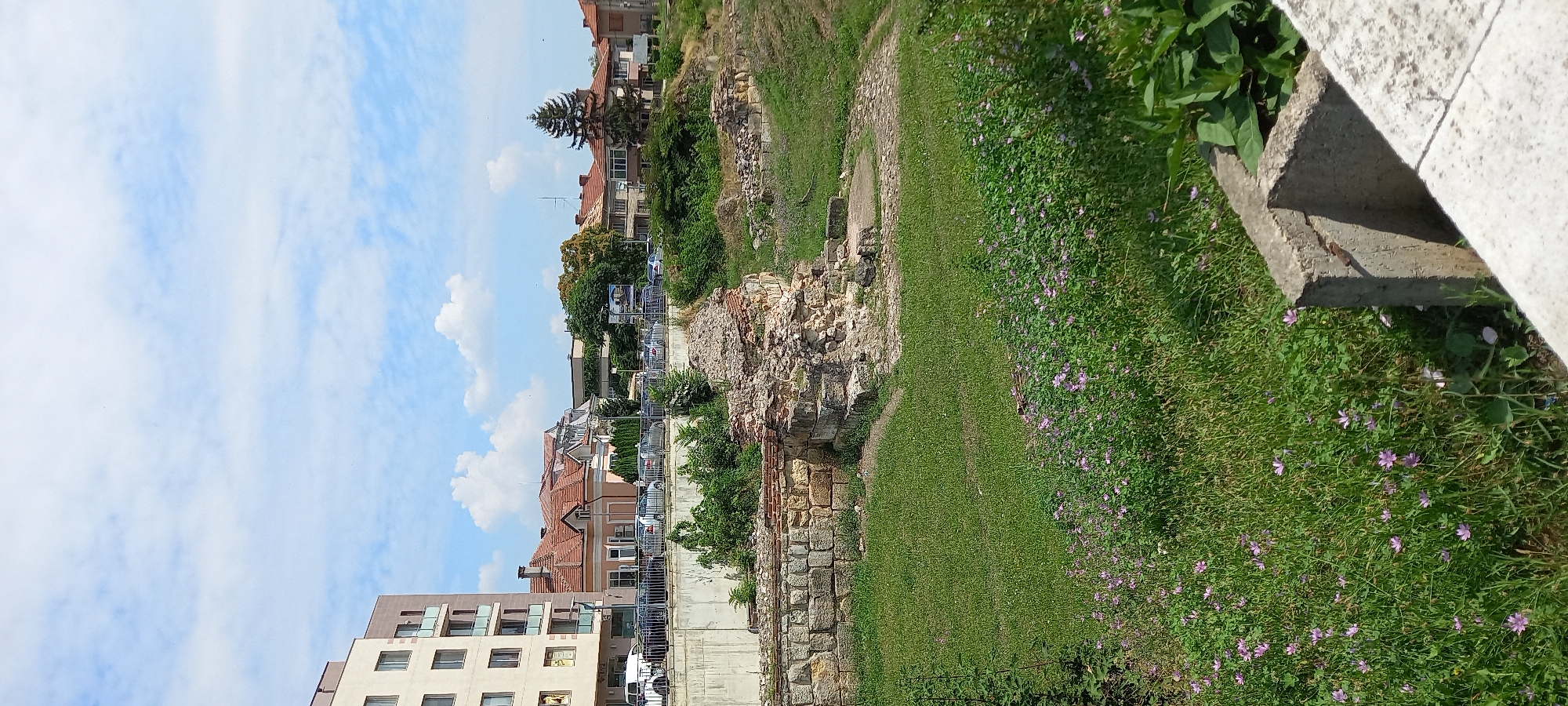 The image captures a view of the Roman mosaics in Silistra, Bulgaria, on a bright, partly cloudy day. In the foreground, a concrete structure is visible on the right, bordering a lush green grassy area dotted with small purple flowers. The middle ground features the partially excavated remains of ancient Roman structures, constructed with large stone blocks and some brickwork, with vegetation growing around and within the ruins. Beyond the ruins, a concrete retaining wall separates the archaeological site from a street lined with parked cars and a few trees. In the background, a modern multi-story apartment building stands to the left, while a row of traditional houses with red-tiled roofs and other buildings stretch across the middle ground. A tall evergreen tree is also present in the background. The sky is a clear blue with scattered white clouds.