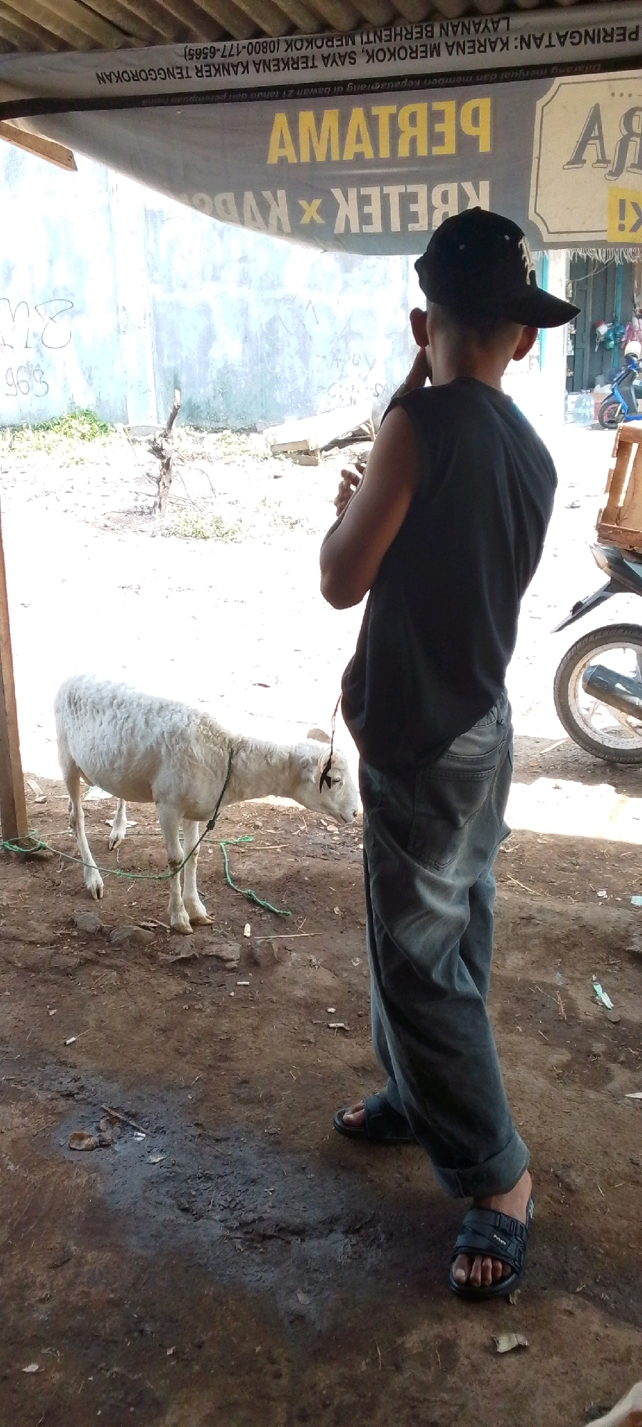 A boy wearing a black t-shirt, black baseball cap, and grey pants stands facing away from the camera. He is touching his face with his right hand. A white goat is tethered by a green rope to a wooden post and is standing on a dirt ground. Behind the boy, a motorcycle with a wooden crate on its back is visible. In the background, a banner with yellow text is hanging. The environment appears to be an outdoor market or street in Cilaku, Indonesia, given the signage.