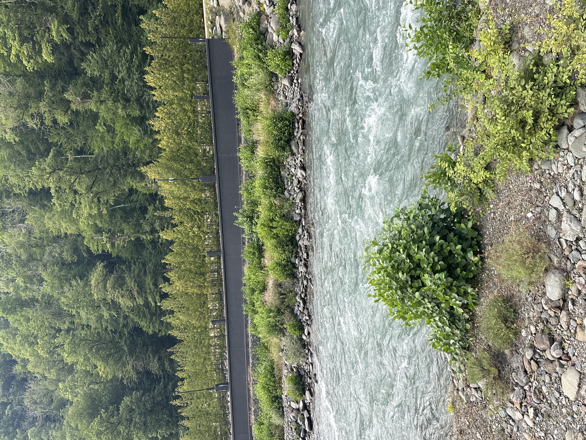 The image depicts a wide, fast-flowing river with turquoise water, bordered by a rocky shore covered in green vegetation. In the background, a dense forest of green trees rises up a hillside, with a row of neatly trimmed trees and a dark wall in the mid-ground. The scene is natural and serene, with no people or man-made structures immediately visible other than the wall and a few streetlights visible along the top of the wall.