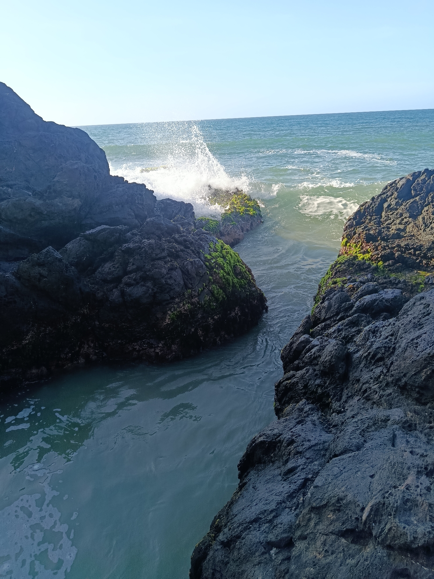 The image depicts a rocky coastline in the city of Pedro González, Venezuela. Dark, rugged rocks covered in patches of green moss flank a narrow channel of turquoise water. A wave is crashing against the rocks, sending a spray of white foam into the air. The ocean stretches out to the horizon under a clear blue sky.