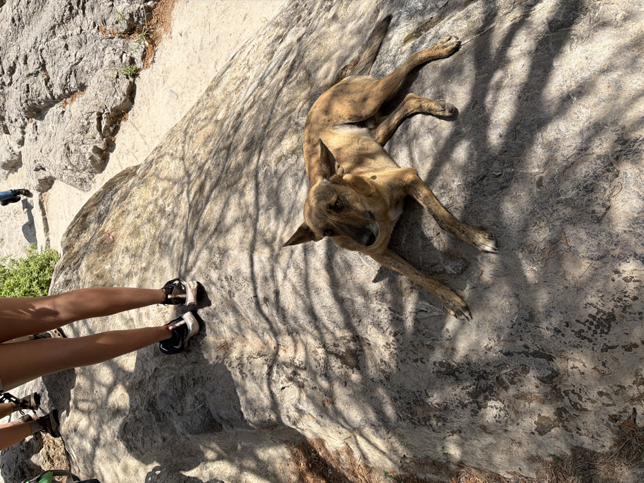 The scene depicts an outdoor, rocky environment in San Miguel Atlapulco, Mexico, under bright daylight with dappled tree shadows. A medium-sized dog, tan with brindle markings, is lying prone on a large, grey-brown rock in the foreground and midground, appearing to look towards the viewer. In the upper left quadrant, the lower legs and feet of a person are visible, standing on the same rock; this individual wears light-colored shorts and black and white athletic shoes. Further in the background, another person's lower legs and feet are partially visible, walking on a dirt path between rock formations. The ground consists primarily of large, weathered rock outcrops interspersed with light-colored dirt paths and sparse green vegetation.