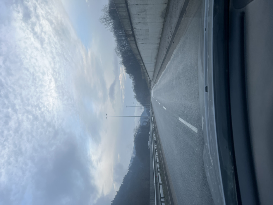 The image depicts a two-lane asphalt highway section viewed from inside a vehicle, likely in Hasovitsa, Bulgaria. The road surface appears wet. White dashed lane markings are visible in the left lane, extending into the distance. On the left side, a metal guardrail runs parallel to the highway, beyond which are bare deciduous trees on a sloping embankment. Several tall streetlights with dark, inverted 'L'-shaped fixtures are positioned at regular intervals along the left side of the road. On the right, an unpaved shoulder transitions into a light-colored concrete retaining wall, which supports a densely forested hillside of bare trees. In the background, forested hills or mountains rise on both sides of the highway, receding into a hazy distance. The sky is heavily overcast with a uniform layer of grayish-white clouds, some with a textured appearance. No individuals or active vehicles are visible on the road. The vehicle's dark dashboard is visible in the bottom foreground.