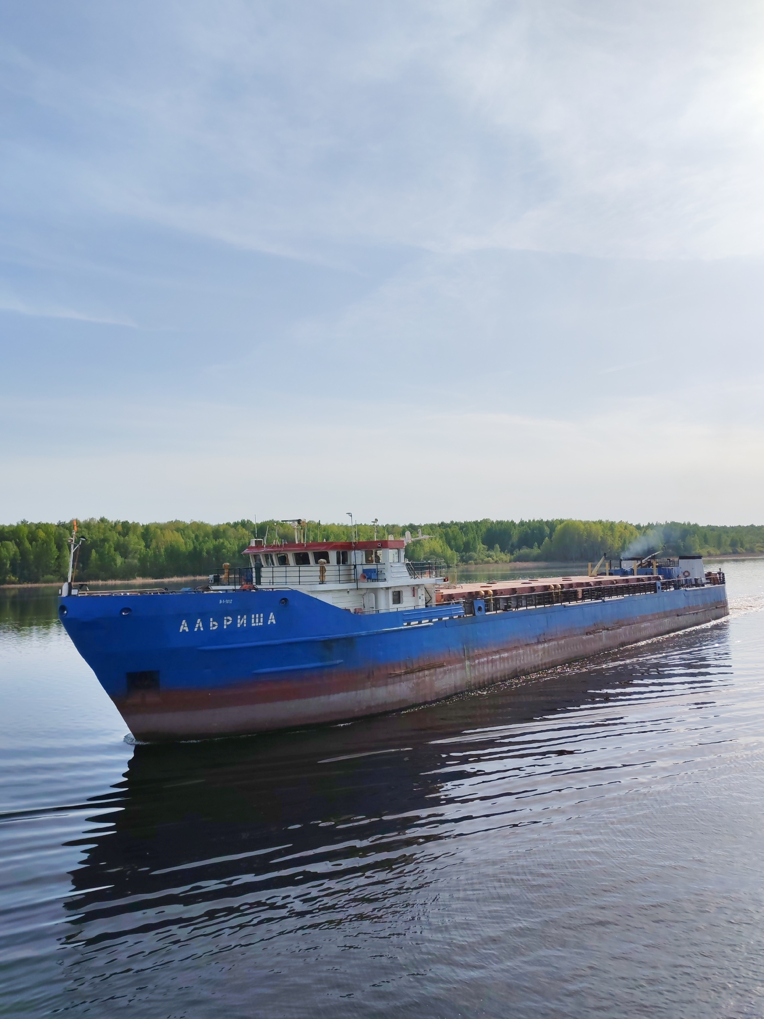 A blue ship with the name "Альриша" written in Russian on its bow is moving on a body of water. The hull of the ship is painted red along the waterline. The ship has a multi-level structure with a red roof and white railings. Behind the ship, a line of green trees marks the distant shore. The sky above is light blue with scattered clouds. The water is dark and reflects the ship and the sky, indicating a calm surface. There are no people visible in the image. The city is specified as Дурасово, Russia, though no particular location within the city can be determined from this image alone.