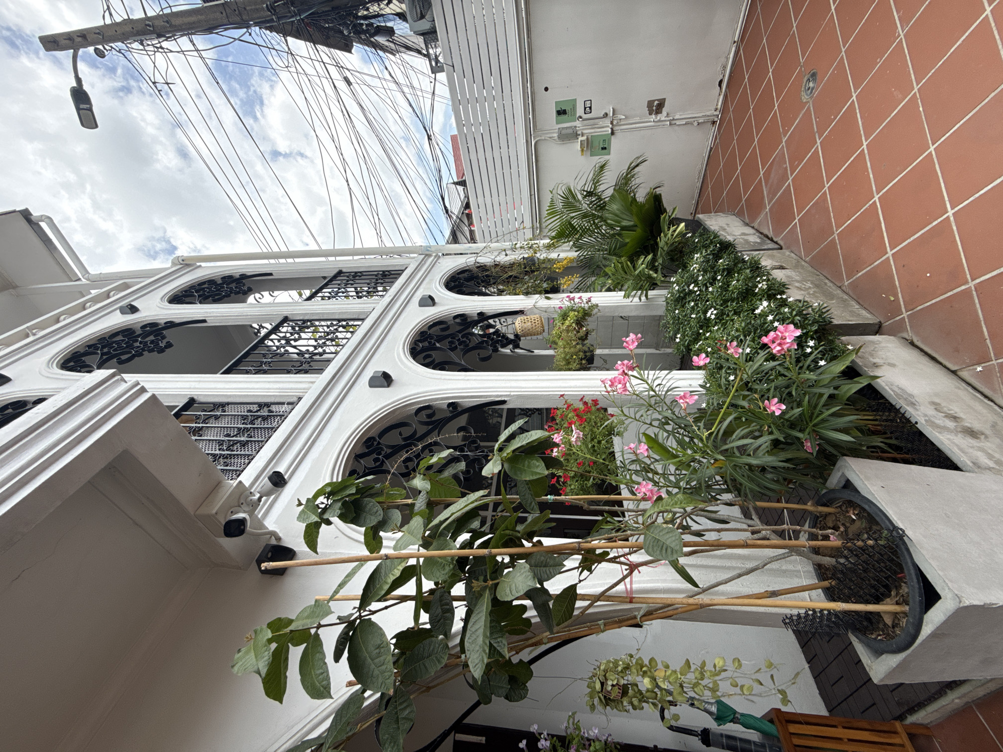 The image depicts an outdoor courtyard area adjacent to a white building with arched windows and black wrought-iron balconies. The building appears to be a multi-story structure with ornate architectural details. In the foreground, there are several potted plants, including a large plant with bamboo stakes and green leaves, and a planter box filled with smaller flowering plants, some with pink blossoms. A hanging plant is also visible. The ground is paved with terracotta tiles. To the right of the courtyard, a white wooden fence encloses the area, and a metal gate is visible. Above the fence, a utility pole with a multitude of electrical wires and a street light is prominent against a cloudy sky. The setting is likely a residential or commercial property in a dense urban environment, possibly a neighborhood in Bangkok, Thailand, given the presence of the overhead electrical wiring which is characteristic of many urban areas in the city. There are no people visible in the image. The scene is static, with no discernible actions or interactions occurring.