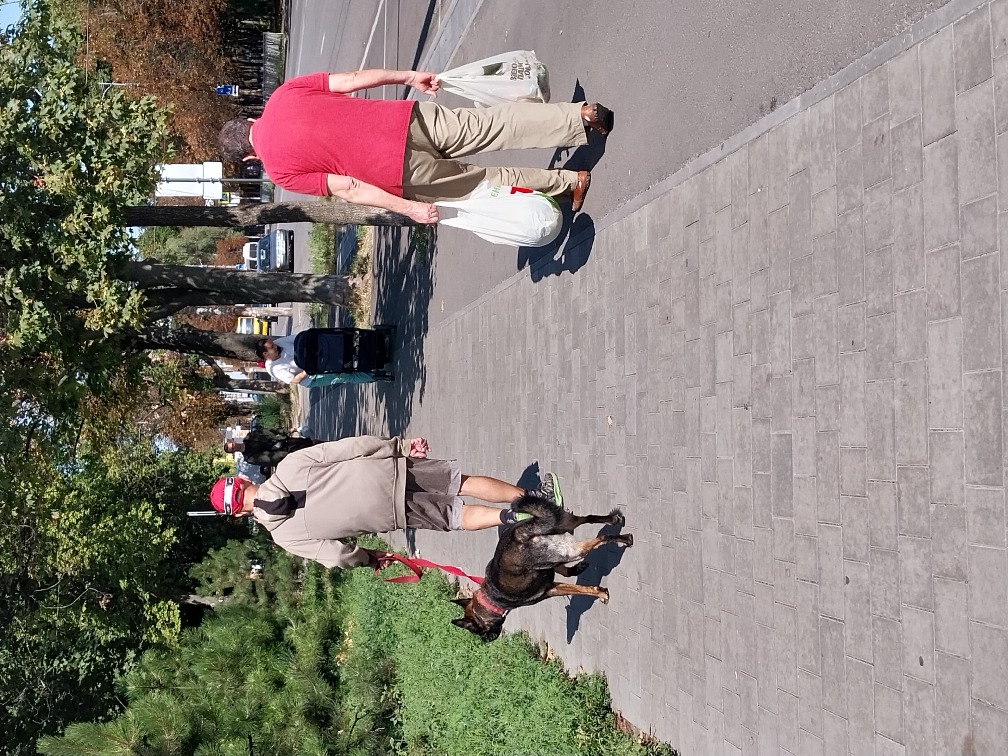 The image shows a sunny day on a sidewalk in Dnipro, Ukraine. The foreground features a man walking a German Shepherd dog on a red leash. The man is wearing a beige hooded jacket, brown shorts, and athletic shoes. The dog is dark-colored with some lighter markings. The sidewalk is paved with gray rectangular bricks.
Further down the sidewalk, a woman pushes a stroller, and behind her, a man in a red polo shirt carries two white plastic shopping bags. In the background, trees line the street, and cars and other vehicles are visible on the road. The architecture suggests an urban environment in Dnipro.