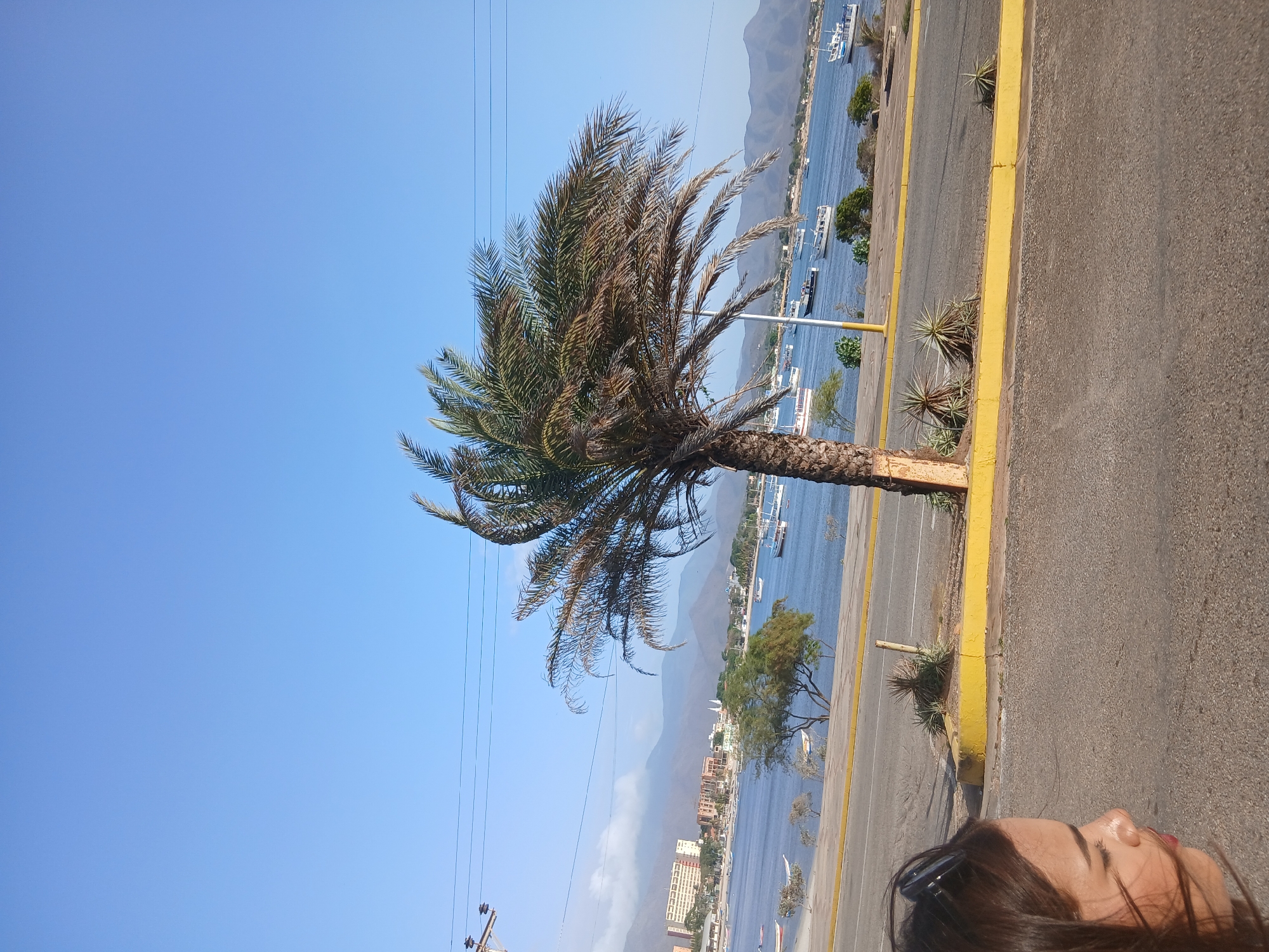 This bright, sunny image captures a coastal scene in Juan Griego, Venezuela, from a roadside vantage point. In the lower right corner, a partial view of a woman's face is visible, with dark hair, sunglasses on her head, and a hint of red lipstick. She appears to be looking towards the expansive view.
A large palm tree with slightly browned fronds stands prominently in the foreground, its trunk textured and its canopy extending into a clear, vibrant blue sky. To the right of the palm tree, an asphalt road runs parallel to the coastline, clearly marked by a bright yellow curb. Small, spiky green plants grow in the narrow strip between the road and the water.
Beyond the road, a serene body of blue water, likely a bay or large inlet, stretches out. Numerous boats, varying in size and mostly white, are scattered across the water. Along the distant shore, buildings and other trees are visible, giving way to a majestic range of hazy blue mountains that dominate the background horizon. Overhead, thin power lines crisscross the upper left portion of the sky. The bright daylight and clear conditions suggest a pleasant, sunny day. No discernible text is visible in the image.