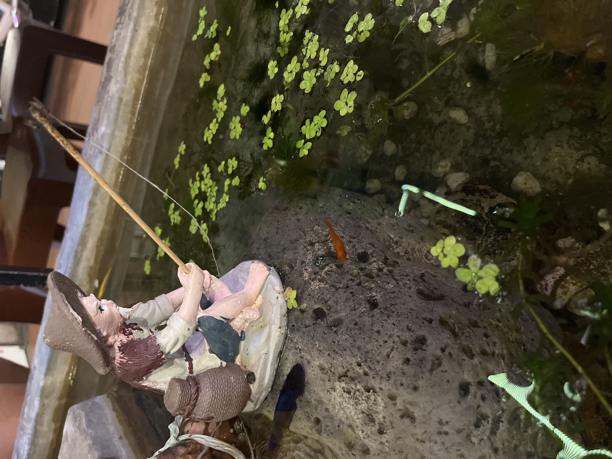 The image depicts a miniature scene of an elderly fisherman figurine with a straw hat and a weathered face, sitting on a large rock beside a body of water. The figurine is holding a fishing rod that extends into the water, with a thin white line representing the fishing line. Next to the fisherman, there are two small woven baskets. The water is filled with green floating plants and appears to be a small pond or water feature. Two small fish, one dark blue and the other bright orange, are visible in the water. In the foreground, to the left, there is a neon green decorative object resembling a sea creature. The background shows out-of-focus furniture, suggesting an indoor or covered outdoor setting, possibly a restaurant or a courtyard in the city of Nha Trang, Vietnam, specifically within Bac Nha Trang Ward.