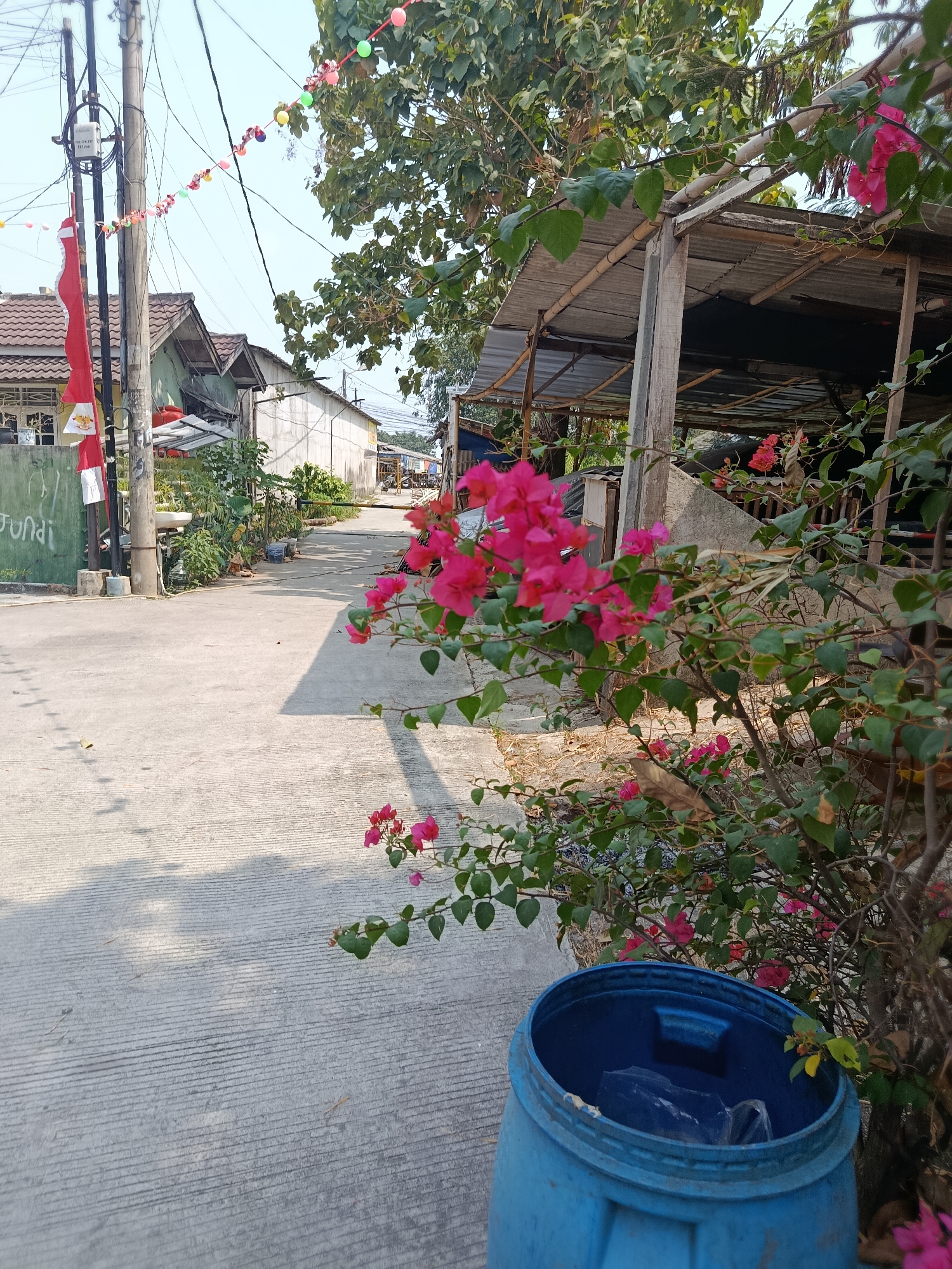 The image depicts a street scene in Wanasari, Indonesia, on a clear day. In the foreground, a vibrant bush with bright pink bougainvillea flowers is visible, partially obscuring a large blue plastic barrel. The barrel appears to be a trash receptacle and contains some plastic bags. Behind the flowers, a section of a rustic outdoor structure with a corrugated metal roof supported by wooden posts is present.
The street itself is paved with concrete and shows distinct parallel lines from its construction. The road stretches into the distance, lined with modest residential buildings on both sides. On the left side of the street, a utility pole stands tall, adorned with electrical wires and a small white box. A red and white Indonesian flag is attached to the pole. Colorful decorative lights are strung across the street and between the utility pole and trees, suggesting a festive occasion. Green foliage from trees and plants is abundant, adding to the natural elements of the scene. The overall impression is of a lived-in urban environment with a touch of natural beauty and a celebratory atmosphere.