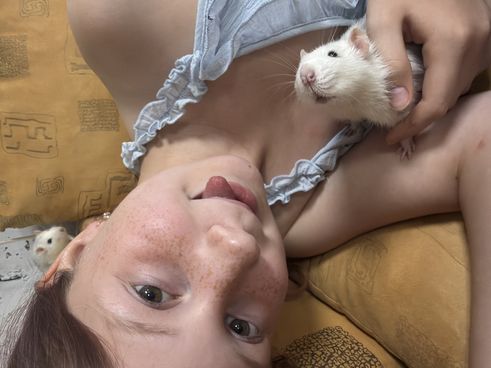 The media file is a close-up, overhead shot of a young person with freckles lying down, with two small white rats. The person is wearing a light blue ruffled top. One rat is being held in the person's hand near their chest, its head tilted up and its nose twitching. The other rat is smaller and visible in the background to the left, near the person's ear, looking upwards. The person's tongue is sticking out playfully. The background appears to be a textured brown surface, possibly a couch or bedding, with a repeating pattern. The lighting suggests an indoor setting, likely during the daytime. The overall mood appears lighthearted and playful. There is no visible text in the image.