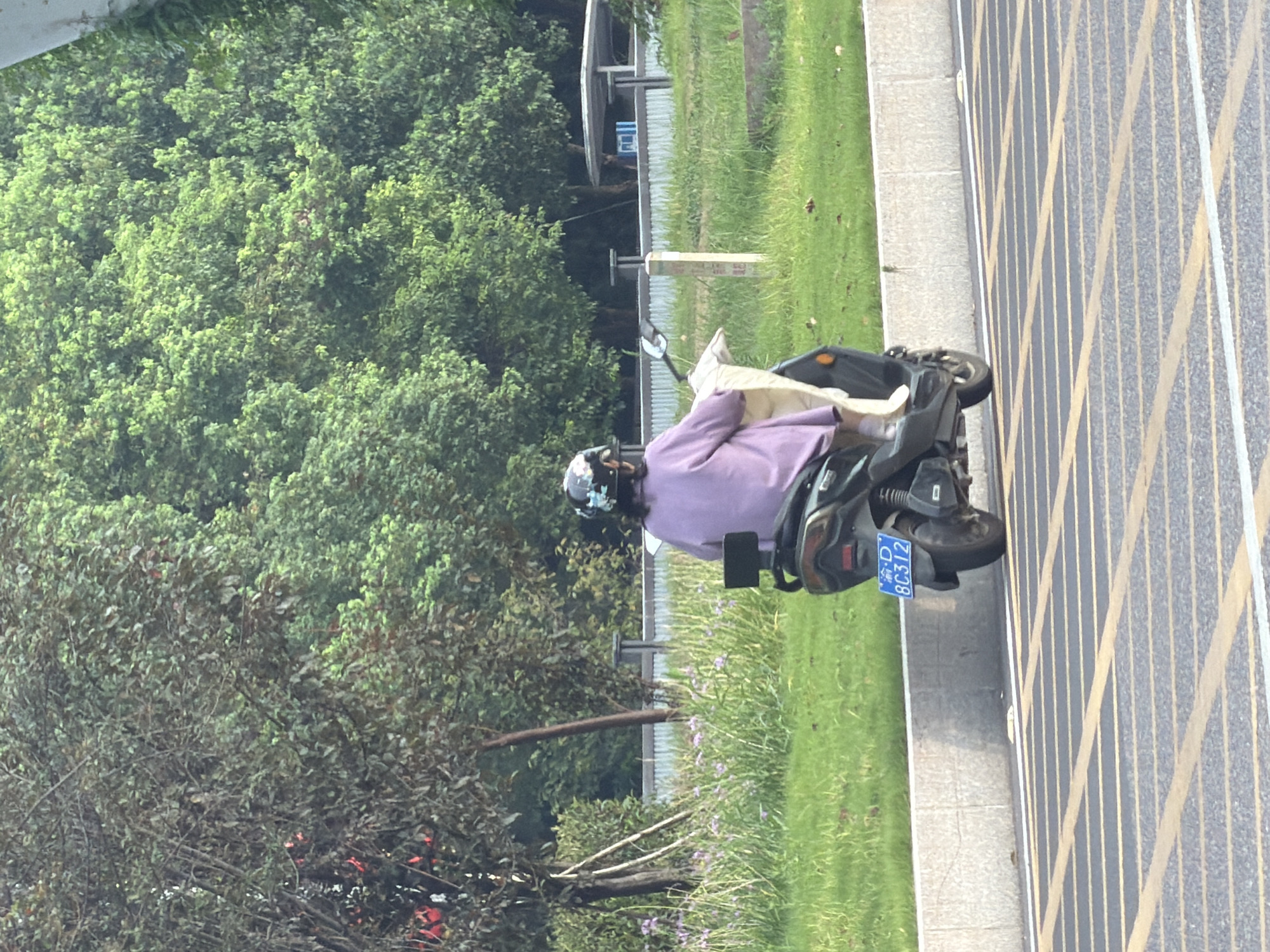 In Jiangjin, China, on a paved road with yellow and white striped markings, a person wearing a helmet and a light purple shirt rides a dark-colored electric scooter. The scooter has a license plate displaying "渝D BC312" and a black rear storage box. The rider is carrying a light-colored bag on the front of the scooter. The background features a grassy area with scattered purple flowers, trees, and a white fence. A covered structure is visible behind the fence.