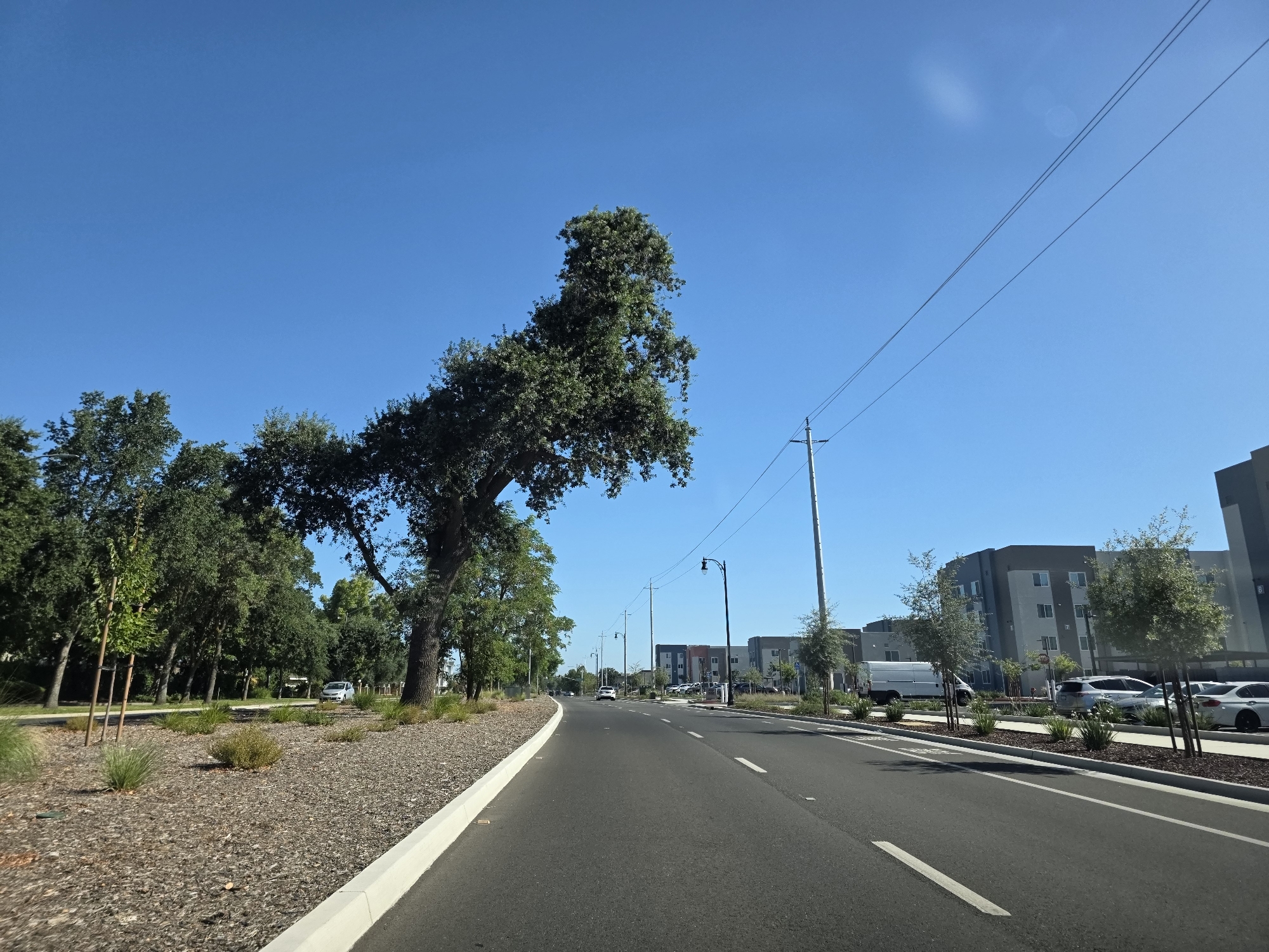 This media file shows a street scene in Elk Grove, California, on a clear, sunny day. The perspective is from a vehicle driving down the road, looking forward and slightly to the right.
The scene features a modern urban environment with several elements. On the left side of the road, there is a landscaped area with gravel, ornamental grasses, and young trees, bordered by a white curb. Further back, a large, mature tree with a distinctive shape dominates the left side of the frame, with more trees behind it.
The road itself is paved asphalt with white lane markings. Several cars are visible on the road, including a white vehicle in the distance. Along the right side of the road, there are newer apartment buildings with multiple stories and a modern architectural style, featuring gray and beige facades and numerous windows. More landscaping, including small trees and shrubs, is present in front of these buildings. Parking areas with cars are also visible in front of the buildings.
Streetlights and power lines are prominent features in the sky, suggesting an developed urban area. The sky is a clear, vibrant blue, indicating good weather with no clouds. The sun is high, suggesting it is likely daytime, possibly late morning or early afternoon given the bright lighting and lack of long shadows.
There is no visible text in the image. The overall impression is one of a new or redeveloped area with a mix of residential buildings and green spaces, typical of suburban or exurban developments in California. No people are clearly visible.