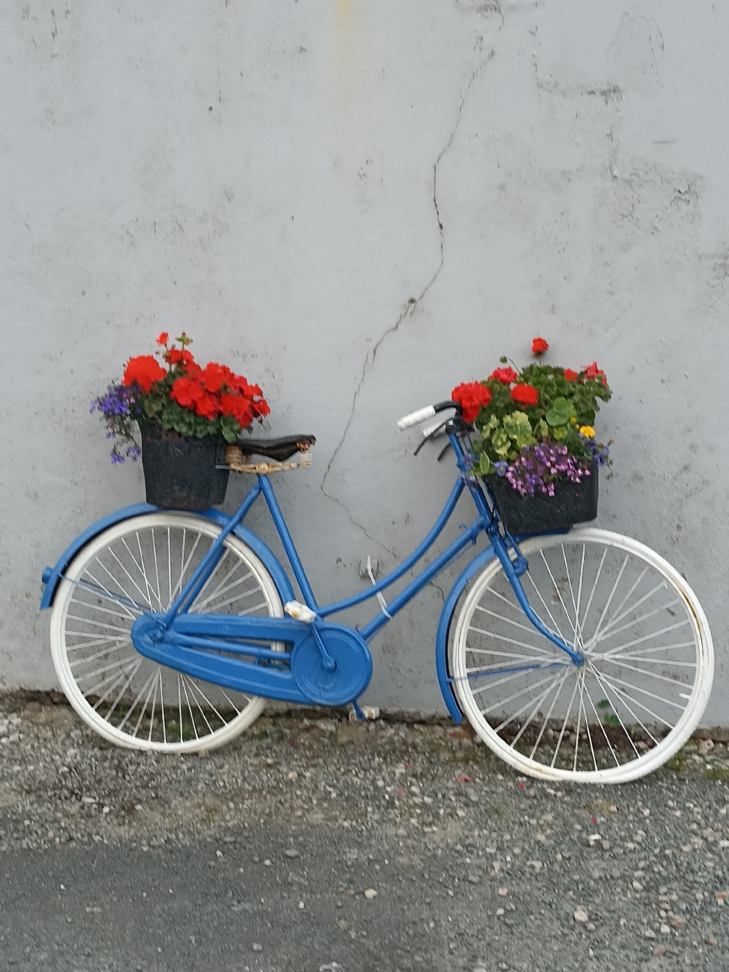 A bright blue vintage bicycle is leaning against a weathered, grey concrete wall in Annagry, Ireland. The bicycle is adorned with two black planters overflowing with vibrant red geraniums and smaller purple flowers. The front planter is situated on the handlebars, while the rear planter rests on the seat. The bicycle has white-rimmed wheels with silver spokes. The ground beneath the bicycle consists of a mixture of grey gravel and a paved surface. The wall exhibits a prominent vertical crack.