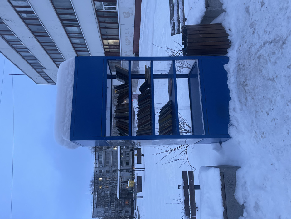 This image depicts a snow-covered outdoor scene in Syasstroy, Russia, under an overcast, pale blue-grey sky. The central focus is a royal blue, multi-shelved outdoor communal bookshelf, approximately 2 meters in height, with clear side panels. Its flat top is topped with a rounded mound of white snow, roughly 20-30 centimeters deep. The four visible shelves within the structure contain numerous books, some standing upright, others tilted or stacked horizontally.
The ground surrounding the bookshelf is entirely covered in undisturbed white snow, with discernible boot prints directly in front of the structure. To the left of the bookshelf, a wooden bench with concrete supports is partially visible, also blanketed in snow. To the right, a cylindrical trash receptacle constructed of vertical wooden slats stands next to another snow-covered concrete-supported bench. Bare, thin tree branches protrude from the snow near the base of the bookshelf.
In the midground, a wide expanse of snow-covered ground extends. To the left, a person clad in dark clothing is seated on one of two visible swings, part of a metal playground structure. A yellow rectangular object is situated near the swings.
The background features two distinct multi-story buildings. On the left, a grey residential apartment block with multiple windows, some illuminated, is visible. On the right, a lighter-colored, possibly white or light beige, multi-story building with numerous rectangular windows extends, showing some weathering on its lower facade. The overall illumination is dim, consistent with winter twilight or an overcast day.