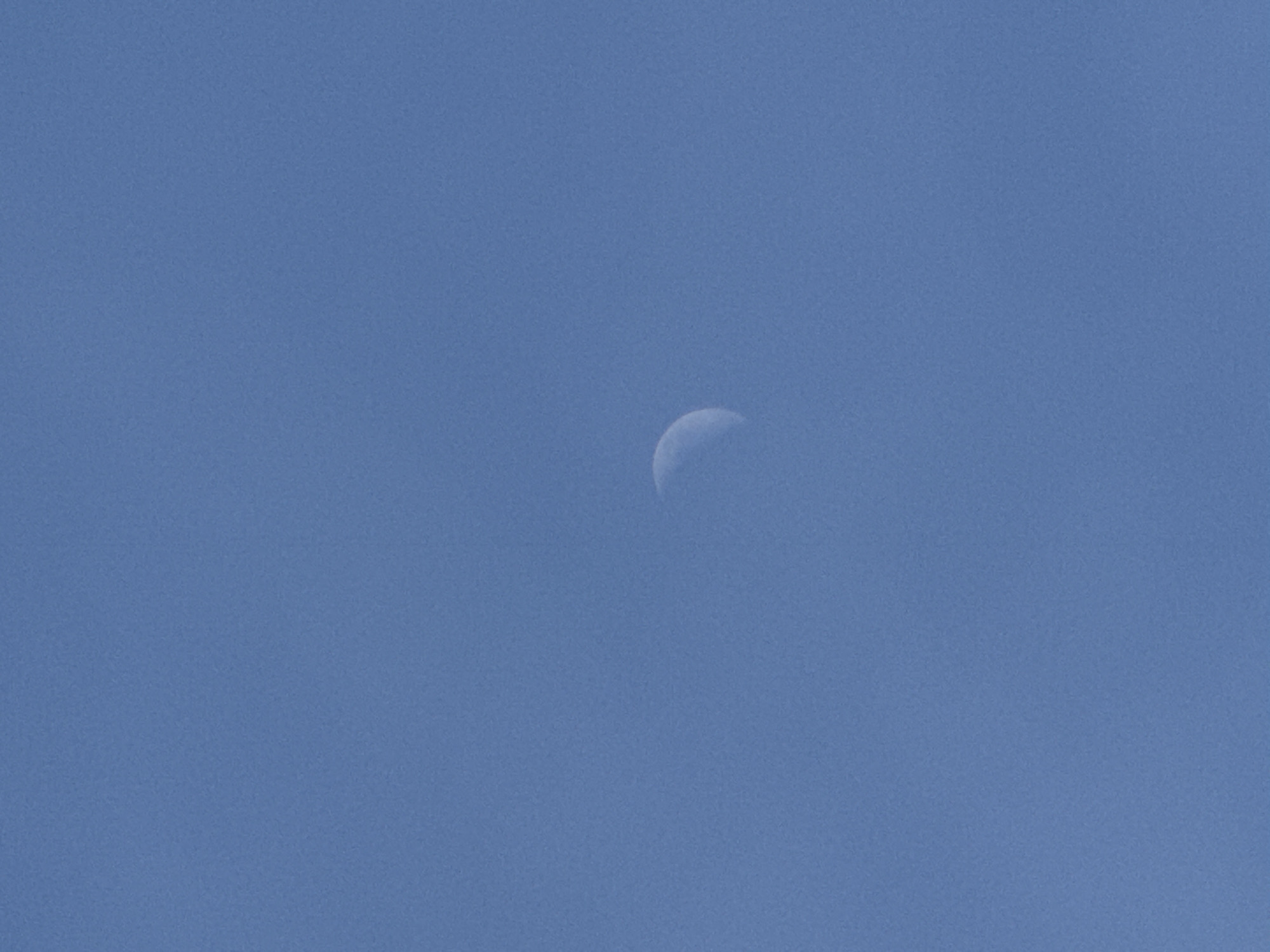 A crescent moon is visible in a light blue sky. No indication suggests that this image was taken in Khimki, Russia.