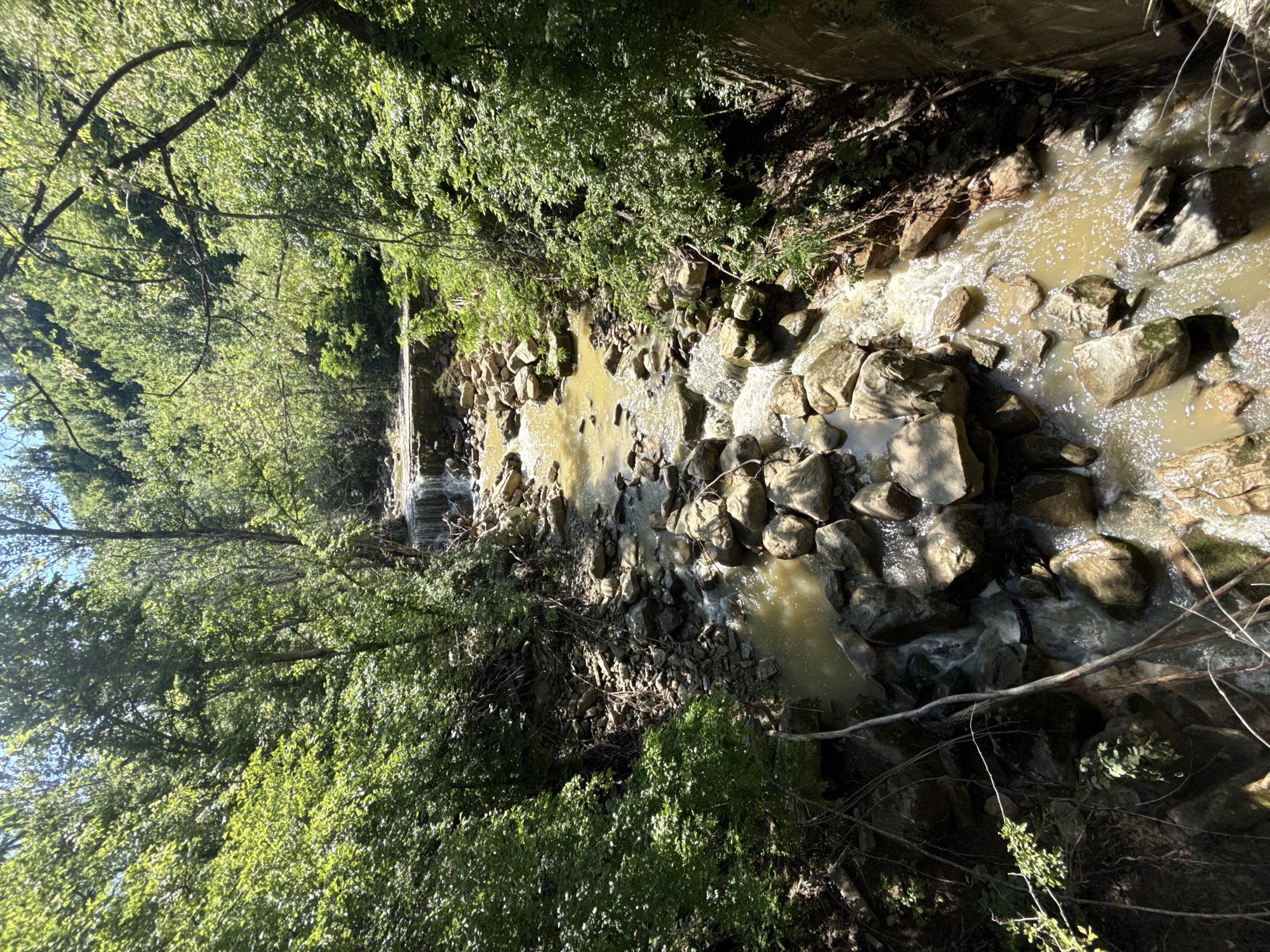 The image shows a small, rocky stream flowing through a heavily wooded area. The water is murky and flows over and around many gray rocks of varying sizes. Trees and dense foliage line both sides of the stream, creating a tunnel-like effect. The location is Kesarevo, Bulgaria. A small waterfall is visible in the distance.