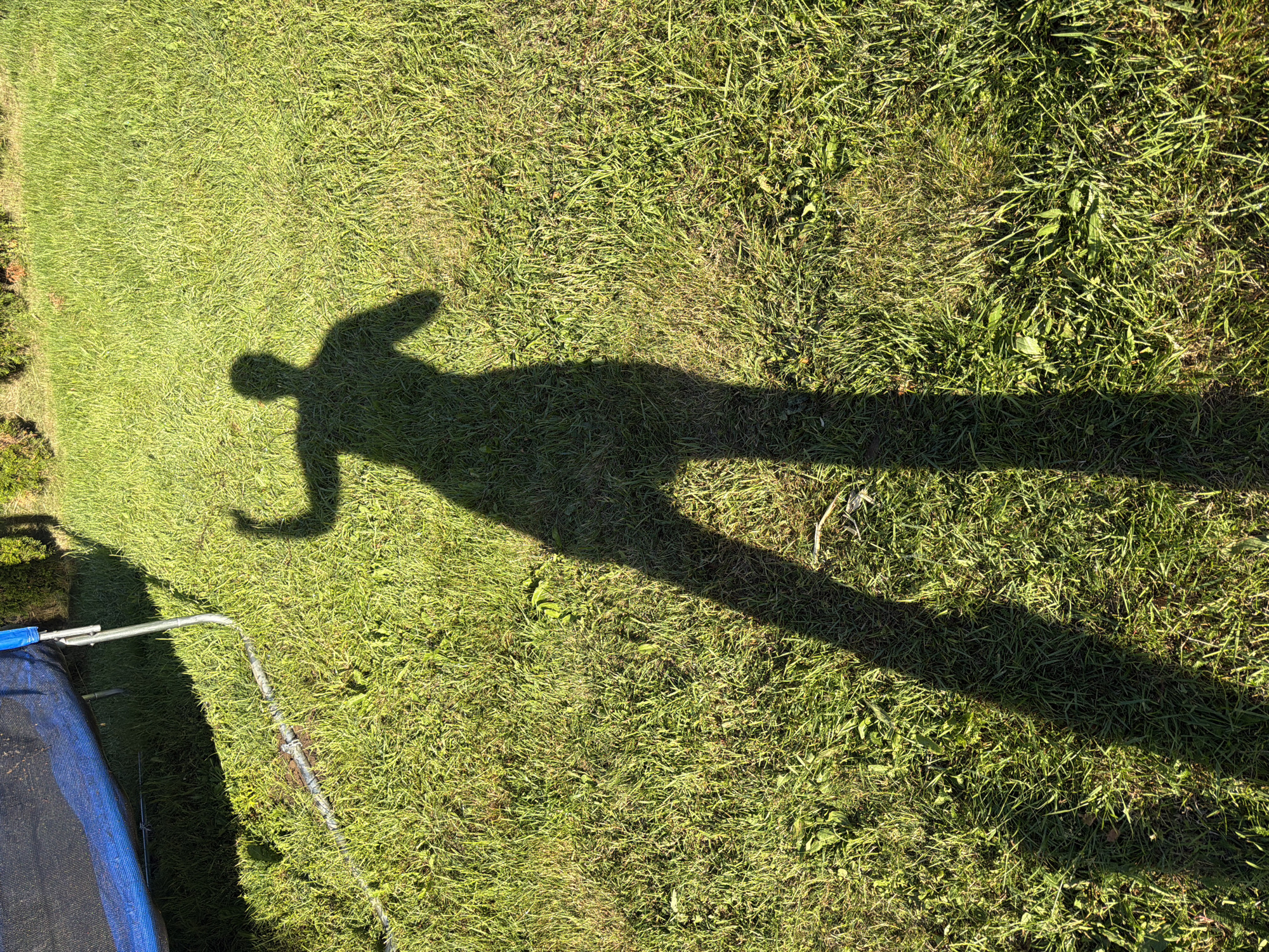 The image displays an outdoor, sunlit grassy area in Dreiliņi, Latvia. A distinct, elongated shadow of a human figure, with both arms bent at the elbows (the left appearing more raised), is cast across the green lawn. In the upper left quadrant, a portion of a dark blue or black trampoline mat or safety netting is visible. A silver-colored metal support leg from the trampoline extends onto the grass. A dark, flexible cylindrical object, possibly a hose or cable, lies on the grass near the trampoline leg, secured by a light-colored clamp. The ground cover consists primarily of green grass with interspersed weeds and some drier patches. Direct sunlight creates sharp shadows, indicating a low sun angle.