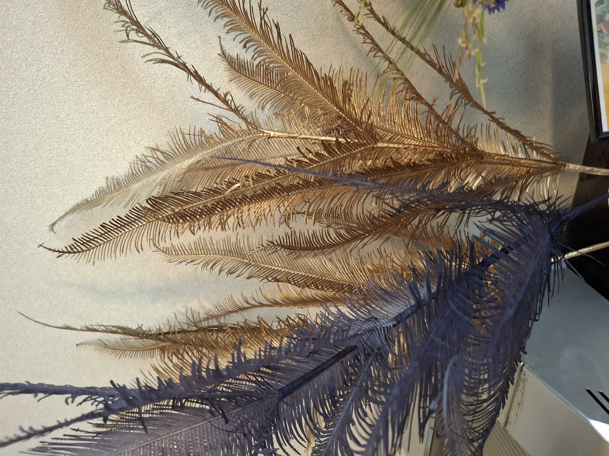 Two artificial plumes, one dark purple and one gold, are positioned vertically against a textured off-white wall. The plumes are feathery and branched, with fine, feather-like projections extending from their central stems. The gold plume is positioned slightly behind and to the right of the purple plume. The lighting creates shadows from the plumes on the wall. In the lower left corner, a reflective surface, possibly a table or shelf, is visible, along with a dark object. In the lower right corner, the edge of a framed picture is visible. The image is a close-up, top-down shot of these decorative plumes.