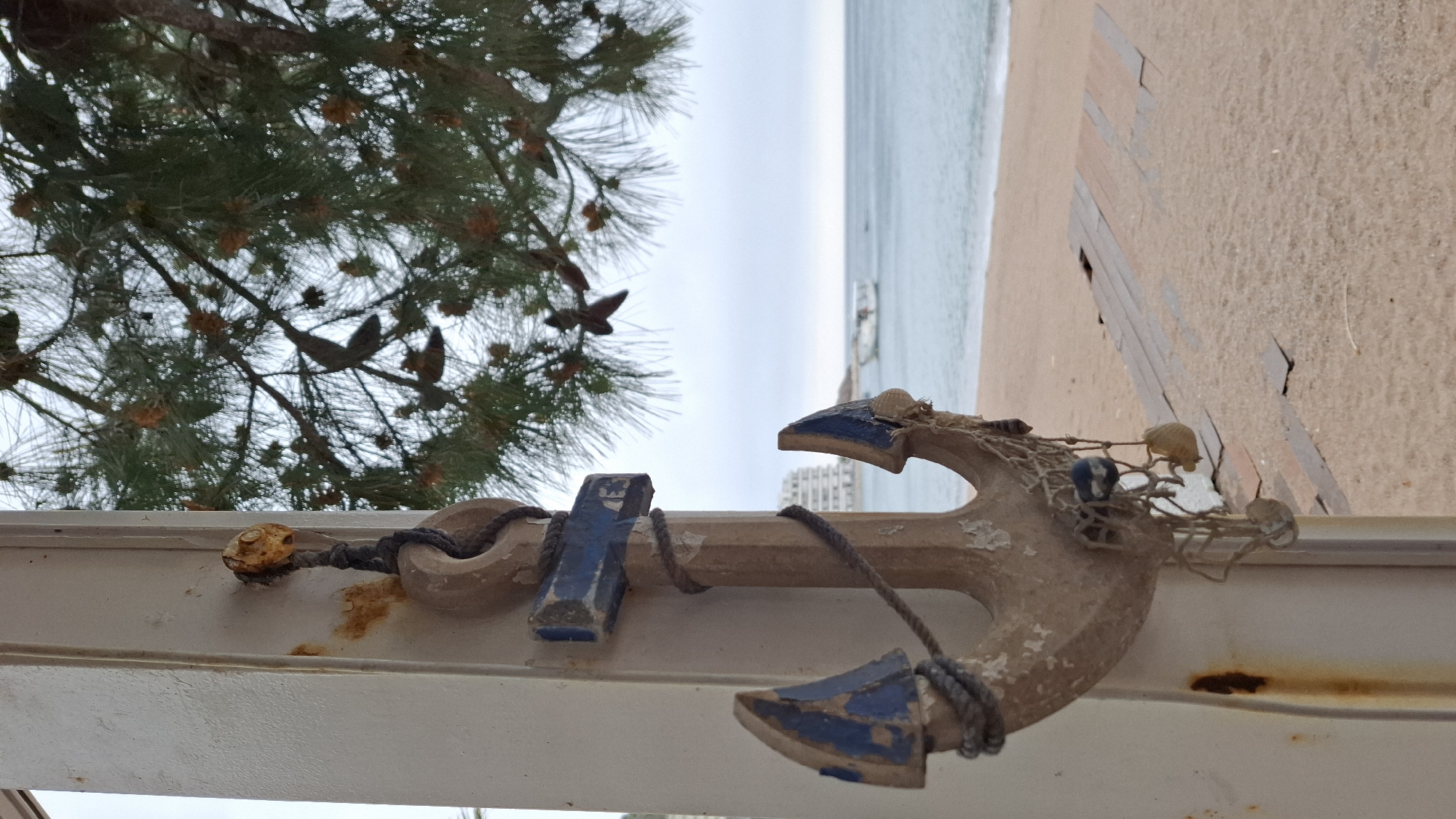 A view of the beach and ocean in Budva, Montenegro. A weathered wooden anchor with blue accents is mounted on a white surface, partially obscuring the view. The beach is sandy with some walkways or structures visible in the background. A tree with green needles and brown pinecones is partially visible in the upper left. The sky is overcast, and a building can be seen in the background. A boat is on the water.