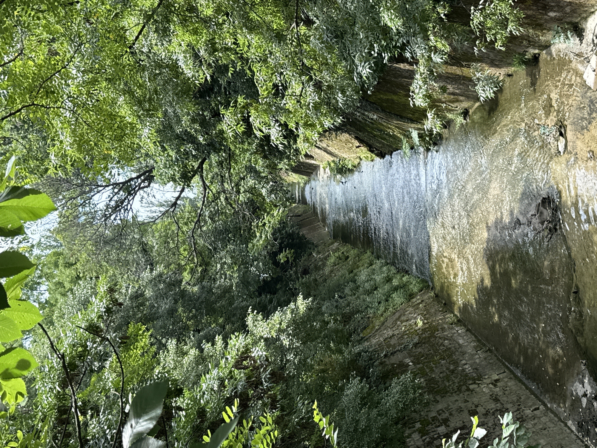 The image depicts a canal with a rocky, shallow bottom and clear, flowing water. The canal is flanked by steep, stone-lined walls covered in moss and vegetation. Dense, green foliage from overhanging trees forms a canopy above the canal, casting dappled shadows on the water's surface. The scene is one of a natural waterway integrated into an urban or semi-urban environment, likely in a park or natural reserve. There are no people or animals visible in the image. The sunlight filters through the leaves, illuminating parts of the water and the surrounding greenery.