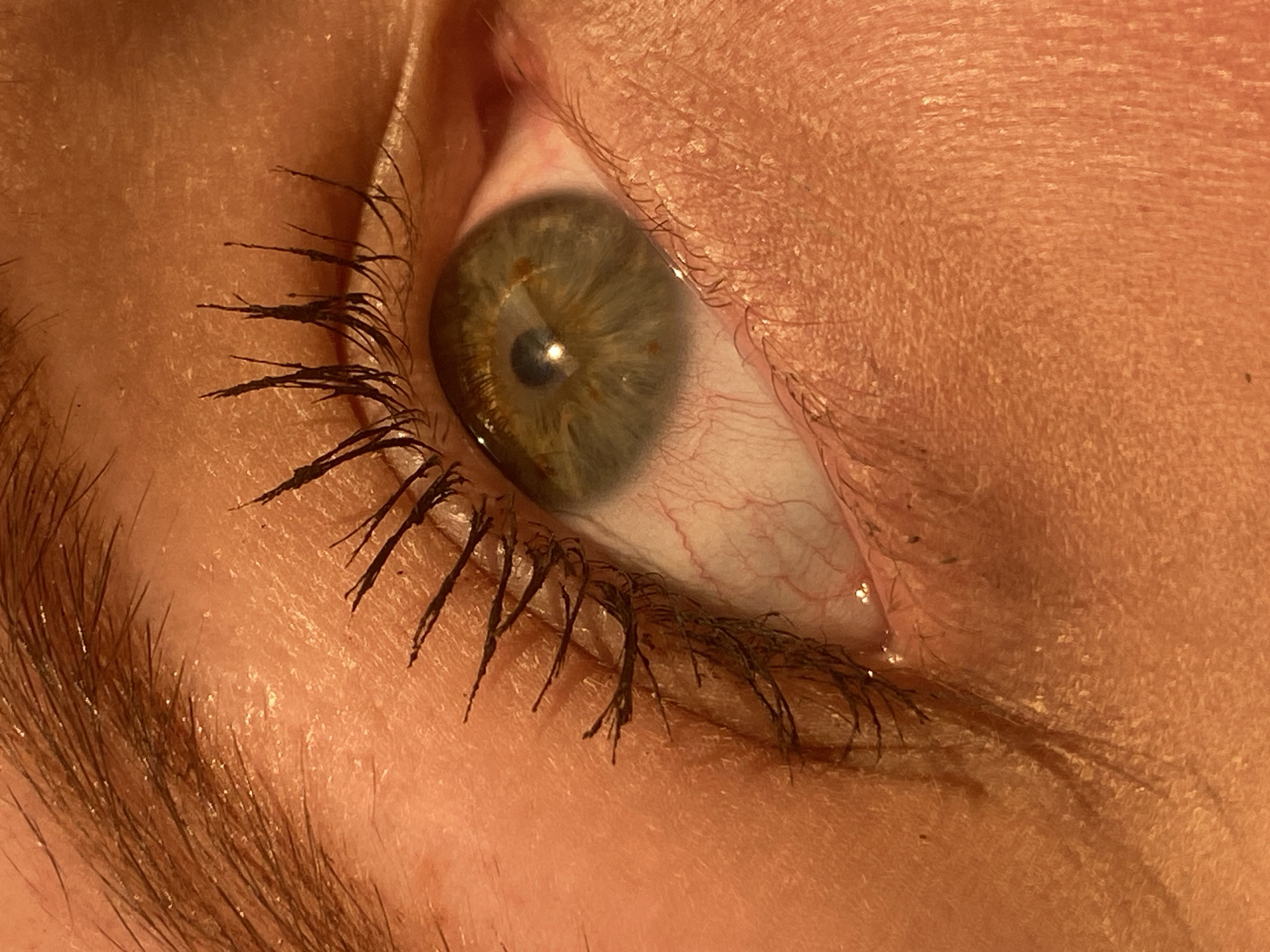 The image is a close-up, low-angle shot of a human eye, likely a female due to the presence of mascara on the eyelashes. The eye is open and appears to be looking slightly upwards and to the right. The iris is a hazel color, with visible green and brown tones, and a dark pupil. Red blood vessels are apparent in the sclera, suggesting the eye may be tired or irritated. The skin surrounding the eye is lightly textured and appears to be illuminated by warm, golden light, possibly from a sunset or artificial lighting. The eyebrows are dark and well-defined, with some individual hairs visible. The lighting casts subtle shadows, highlighting the contours of the skin and the lashes. There is no indication of the location being in Izhevsk, Russia or any other specific city. The scene is devoid of any objects or environmental features that would suggest a particular setting, beyond the immediate context of a human face.