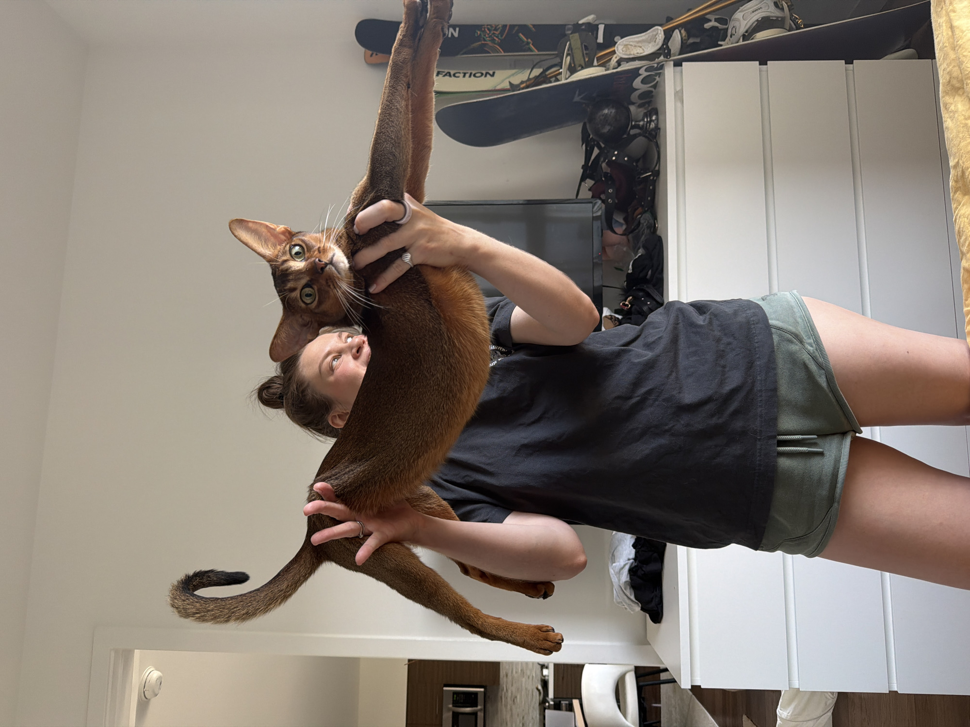 An unidentified person is holding a brown cat horizontally in front of them, with the cat's body stretching from the person's hands. The person is wearing a black t-shirt and green shorts. The cat has large green eyes and its ears are pointed upwards. The background shows a white dresser with clothing on top, and on the right side, several snowboards are leaning against the wall. The scene appears to be indoors, possibly a bedroom or living area. The image does not contain any specific landmarks or clues that would indicate the location is in Glendale, United States of America.