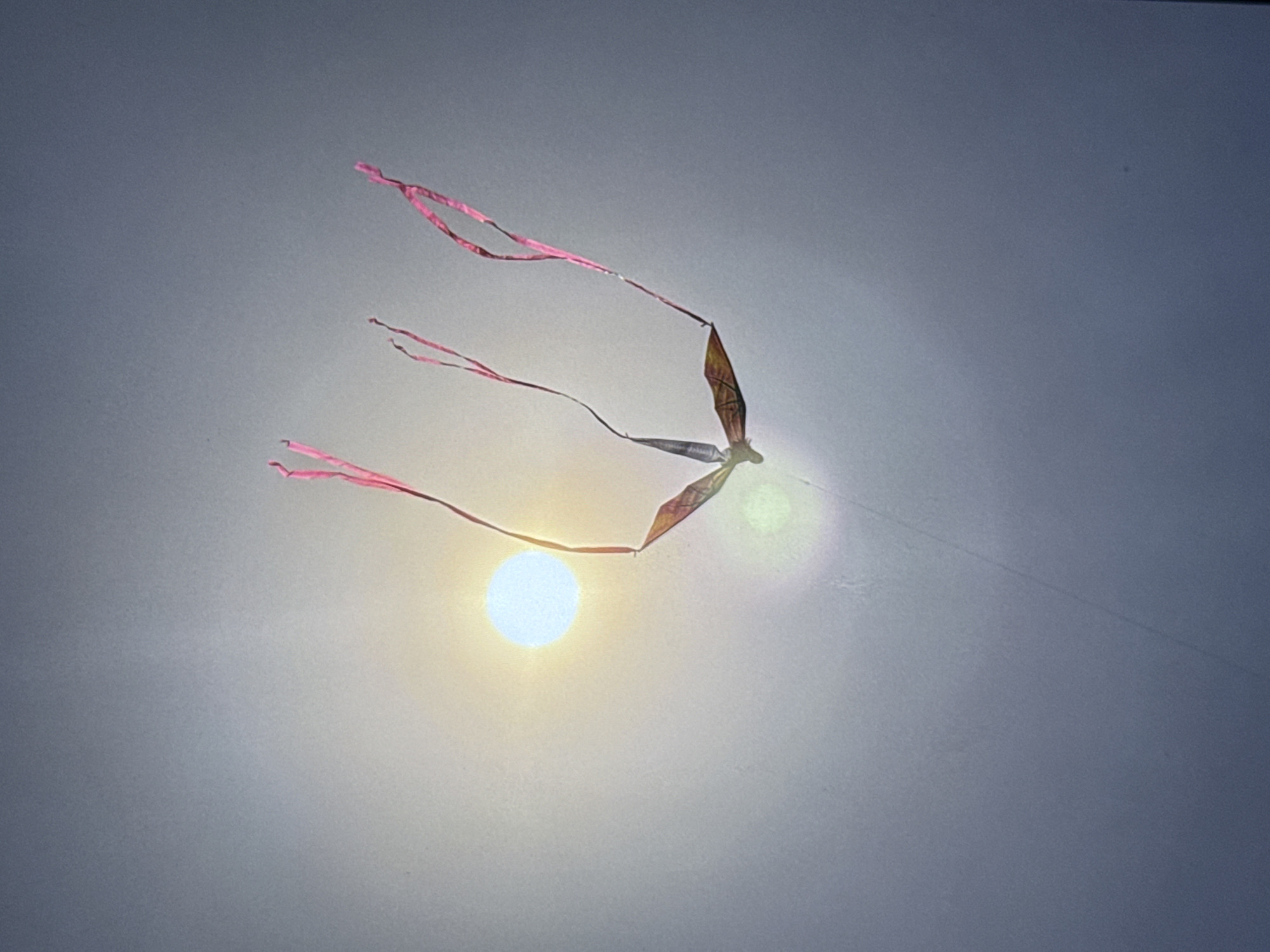 A kite with a diamond-shaped body and long pink streamers is flying in a hazy sky with the sun visible as a bright, slightly diffused disc. The kite's body appears to have a patterned design. The kite string is visible extending downwards. The overall environment suggests an outdoor setting, likely with a clear but overcast or dusty atmosphere that is diffusing the sunlight. The location is Los Angeles, United States of America.