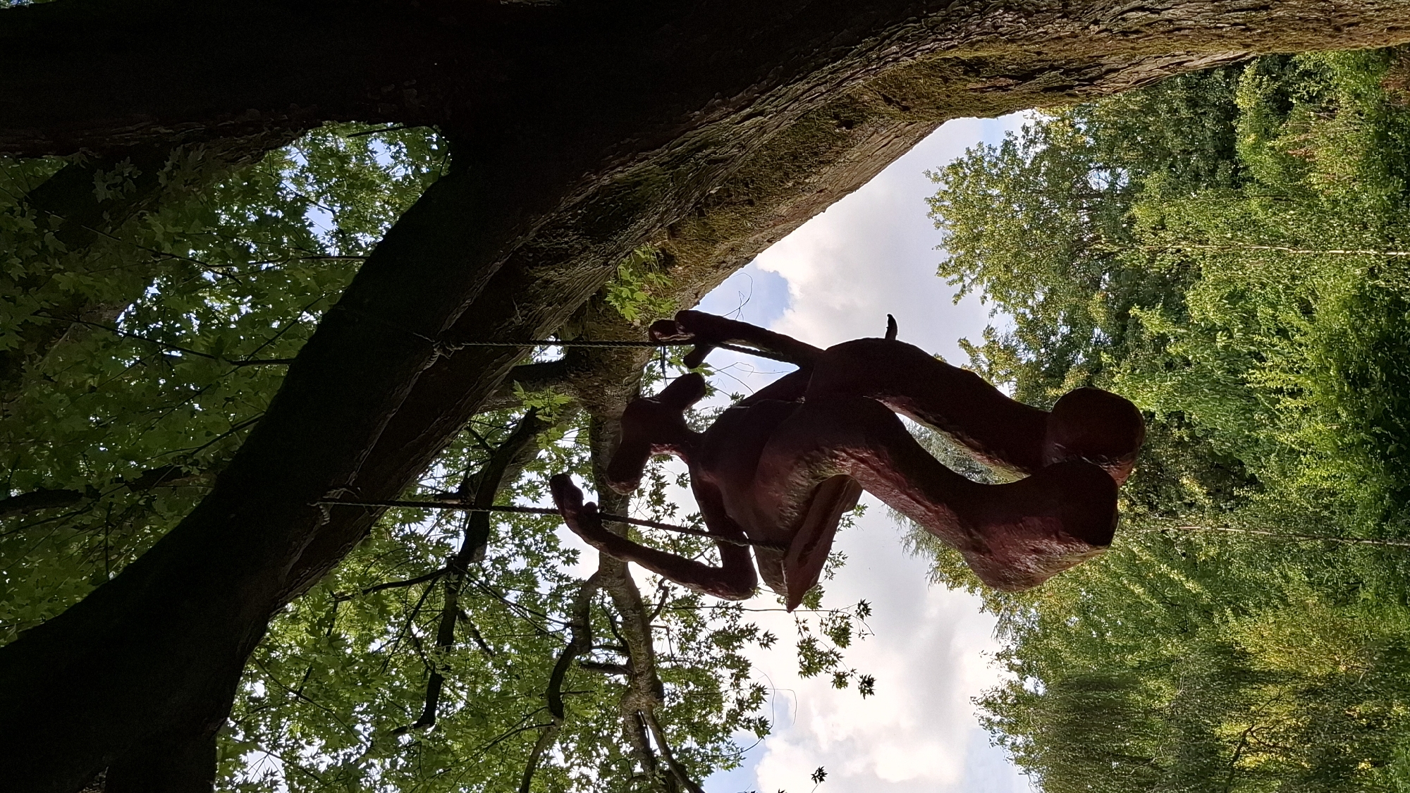 A dark brown, abstract sculpture resembling a lanky, seated figure with elongated limbs is suspended from a thick tree branch by two ropes. The sculpture is positioned to the left of center, its body curved as if in motion on a swing. The figure's head is tilted back, and its arms are raised. The sculpture is carved from wood, exhibiting a textured, organic surface. It hangs against a backdrop of lush green foliage and a cloudy sky. A large, dark tree trunk dominates the right side of the frame, its bark covered in moss, suggesting an outdoor, natural setting. The overall scene evokes a sense of whimsical art integrated with nature. The sculpture is located in the Volksgarten park in Cologne, Germany.