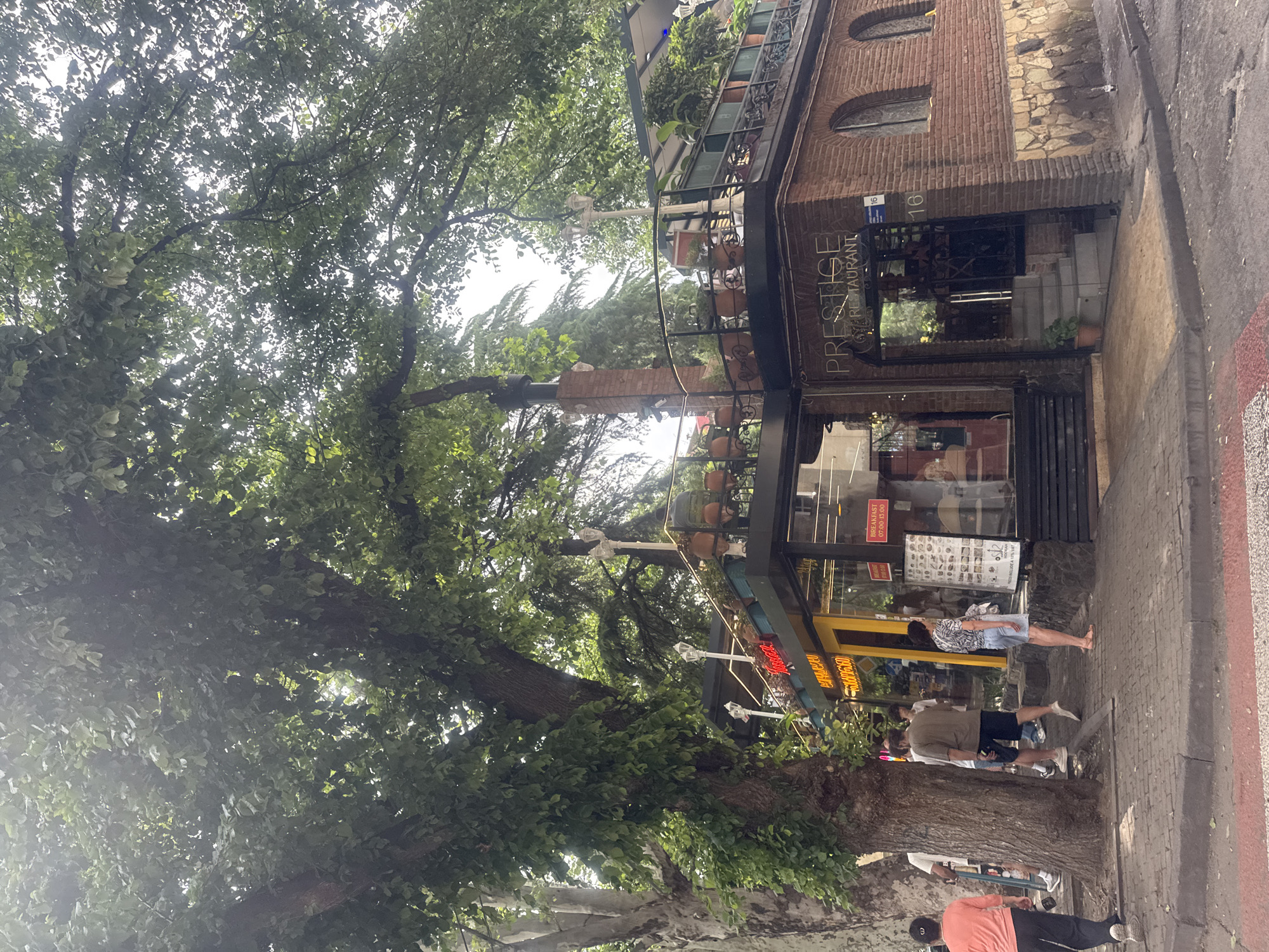 The image captures a street view in Tbilisi, Georgia, with a restaurant named "PRESTIGE RESTAURANT" as the focal point. The restaurant is a two-story brick building with arched windows on the upper level. The ground floor has a glass entrance with stairs leading down, and a sign that reads "PRESTIGE RESTAURANT." A large tree with dense foliage dominates the left side of the frame, casting shadows on the sidewalk. Several people are visible on the sidewalk, some walking and others standing near the restaurant entrance. One woman in an orange shirt is walking away from the camera, and a couple is standing near the restaurant. The sidewalk is paved with bricks, and a street runs alongside it. The overall scene suggests a typical urban environment on a bright day.
