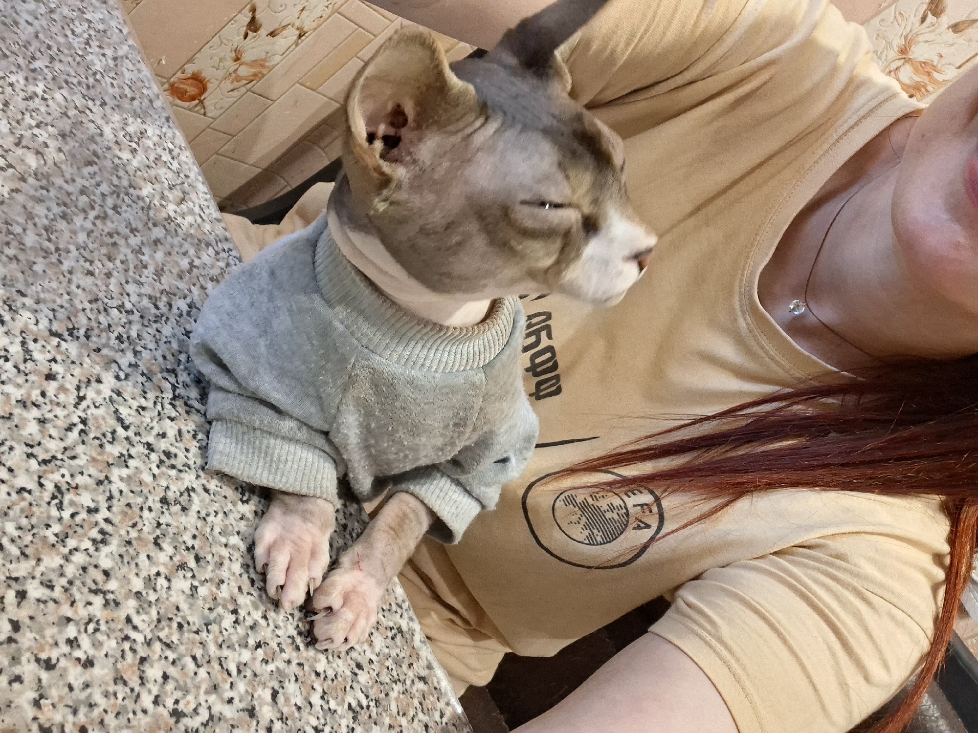 A close-up shot shows a Sphynx cat wearing a grey sweater and a person with long, dark red hair wearing a tan t-shirt. The cat is looking upwards with its eyes closed, resting its paws on a speckled granite countertop. The person's shoulder is visible, with part of a circular logo on their t-shirt. The background includes a beige tiled wall with a floral pattern. The scene appears to be indoors, possibly in a home, and there are no identifiable landmarks or indications of a specific city or country.